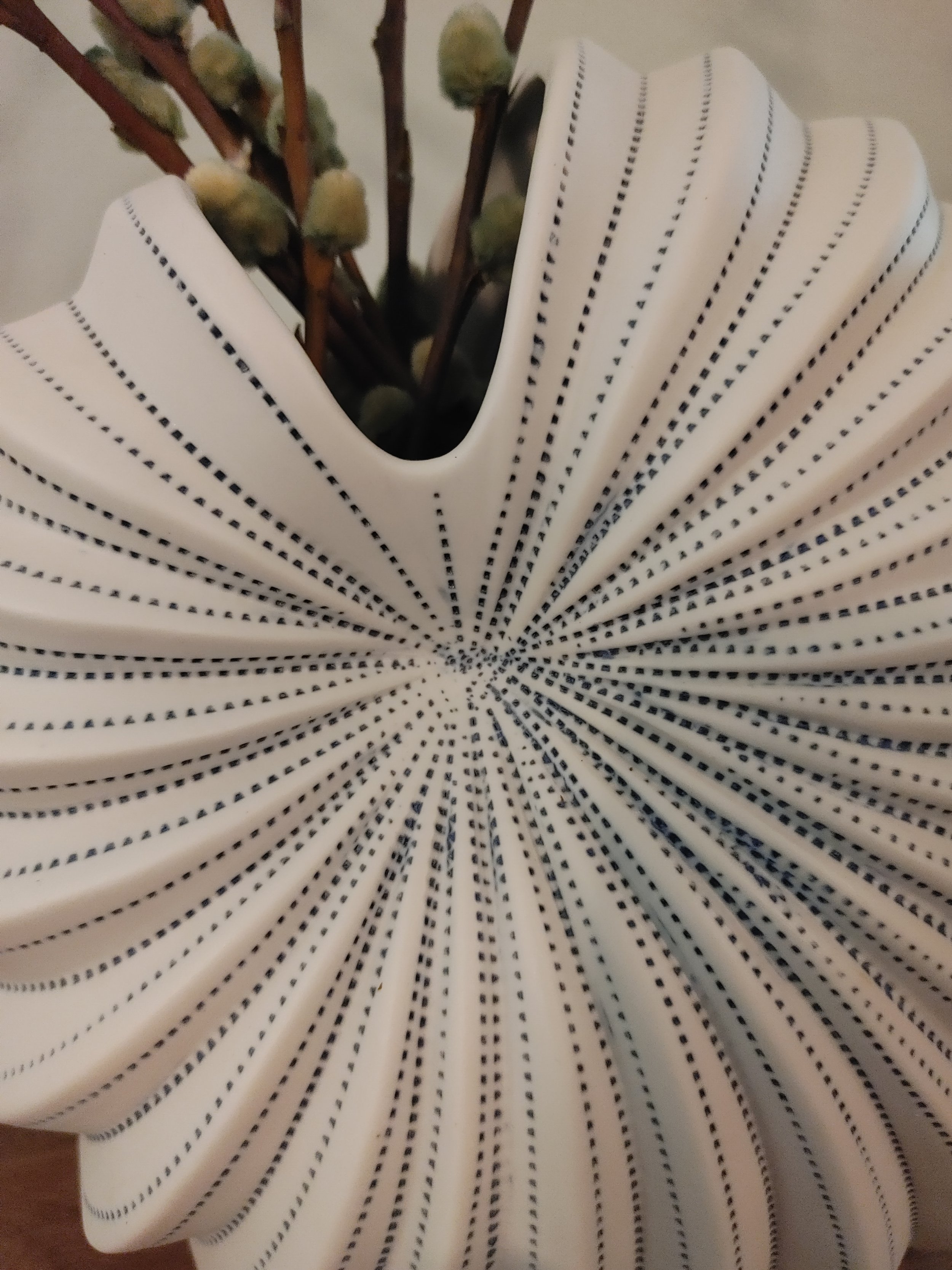 1000013704.jpg