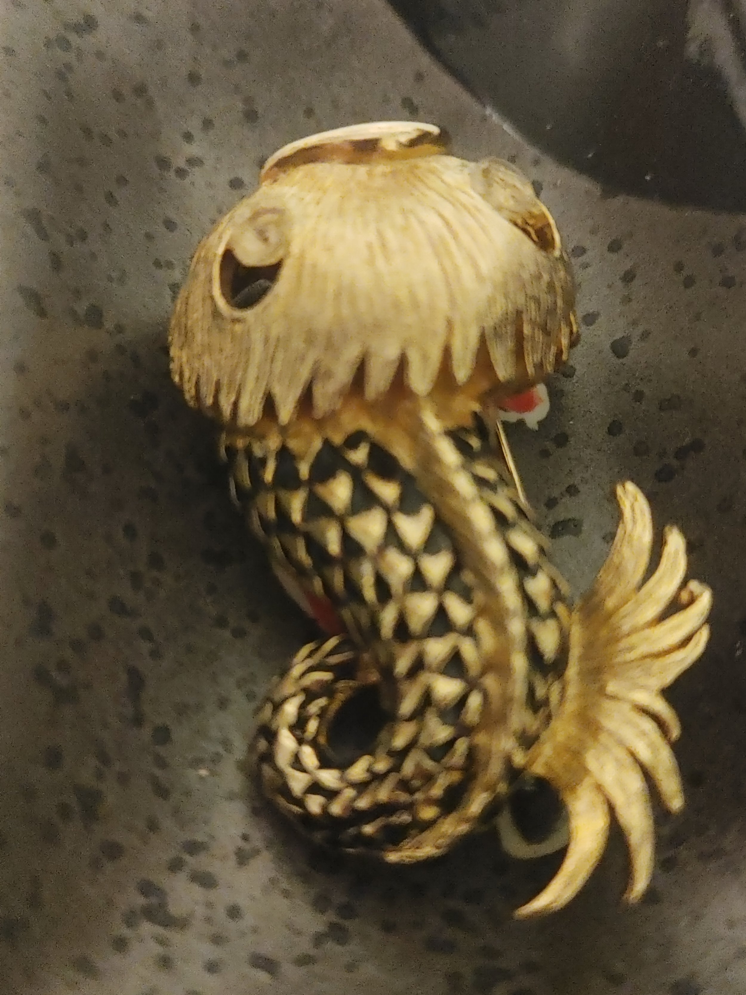 Happy Fish Brooch