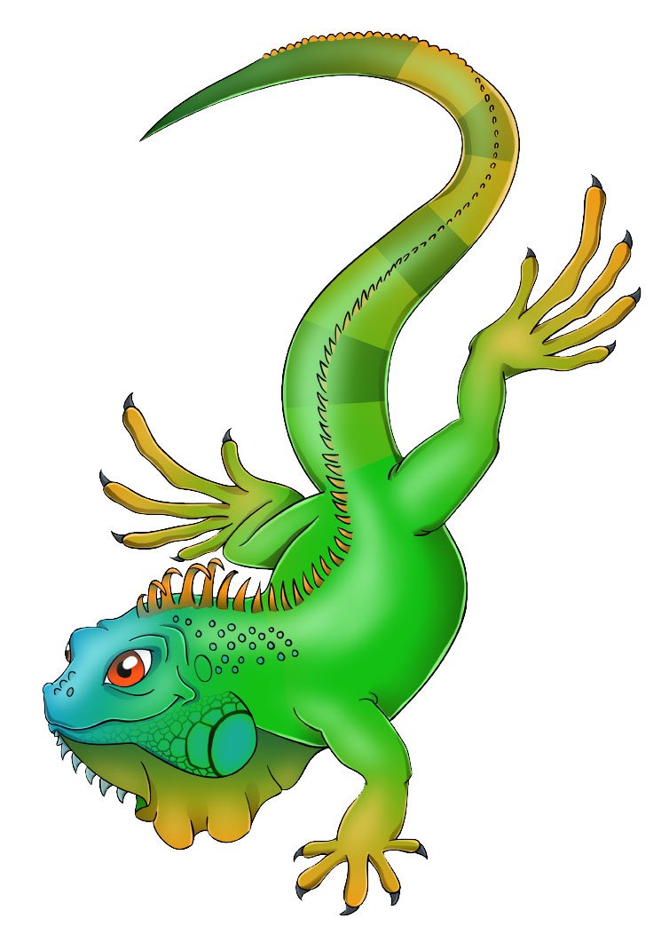 Iguana.jpg