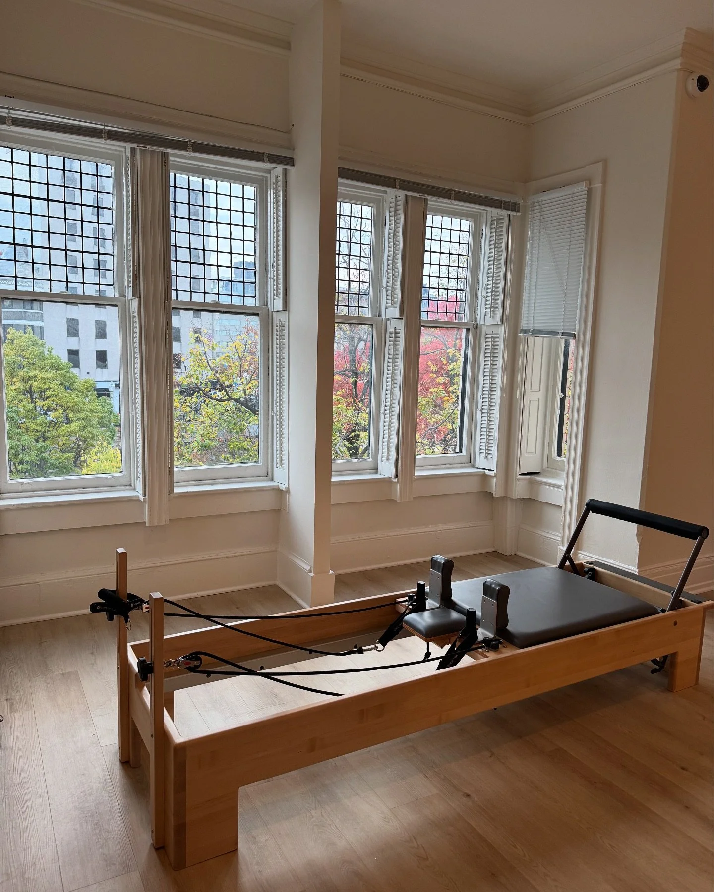 Turning leaves and November sunlight peeking into @twist_pilates this morning 🍂