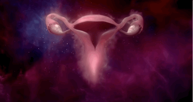 Bodyform/Libresse - Wombstories