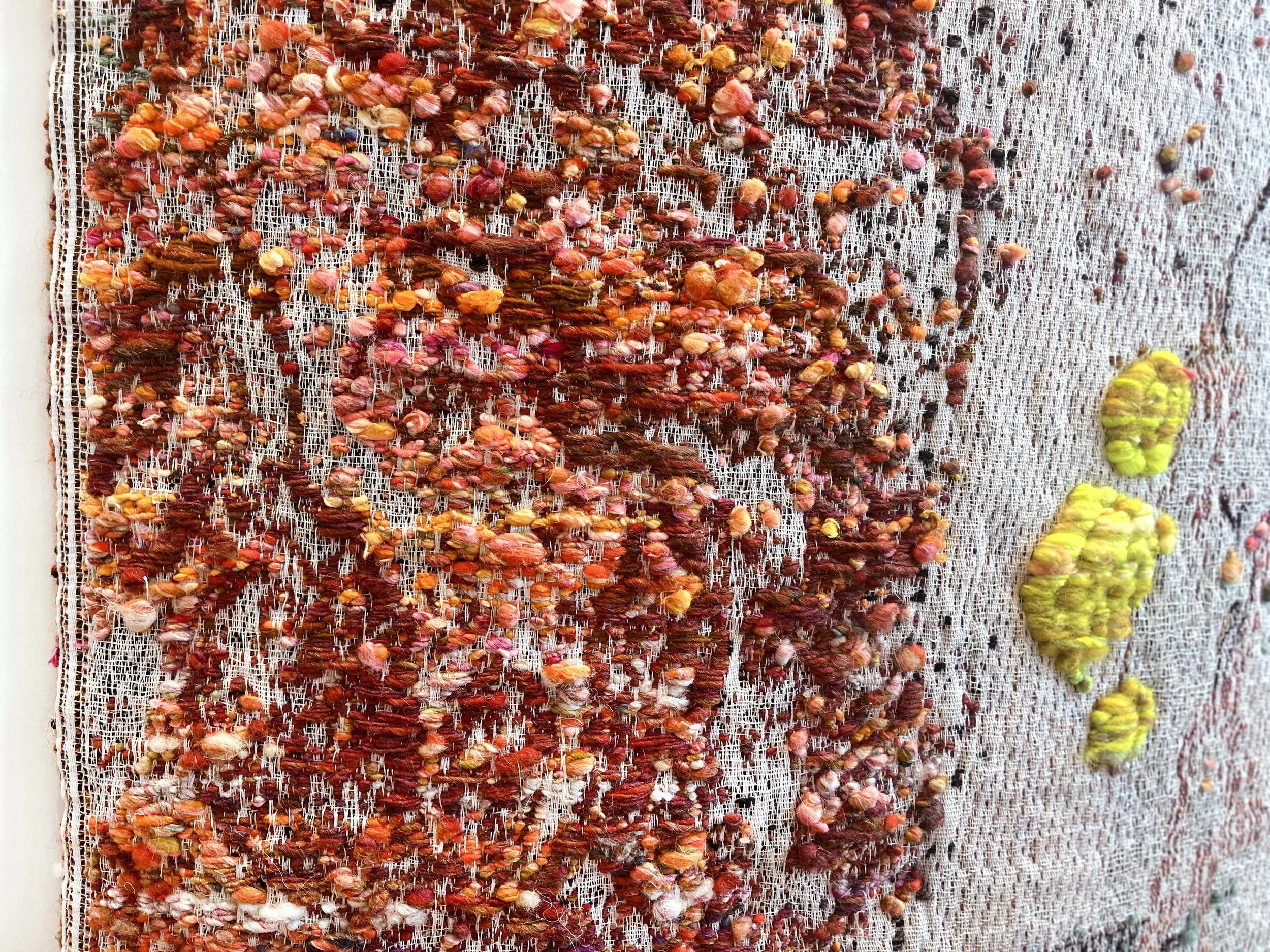 Mammal:seed cochineal small.jpg