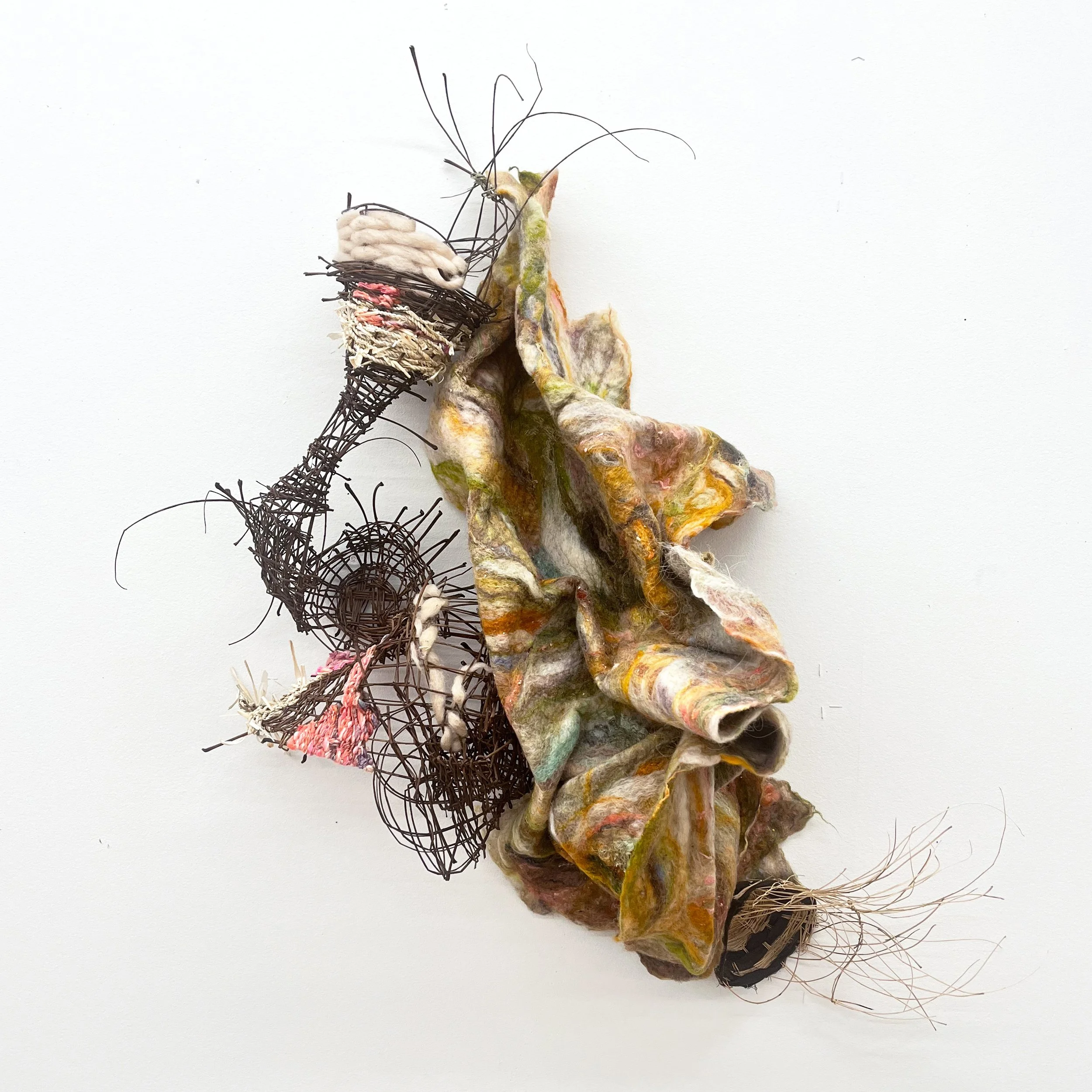 Evolution III(1).jpg