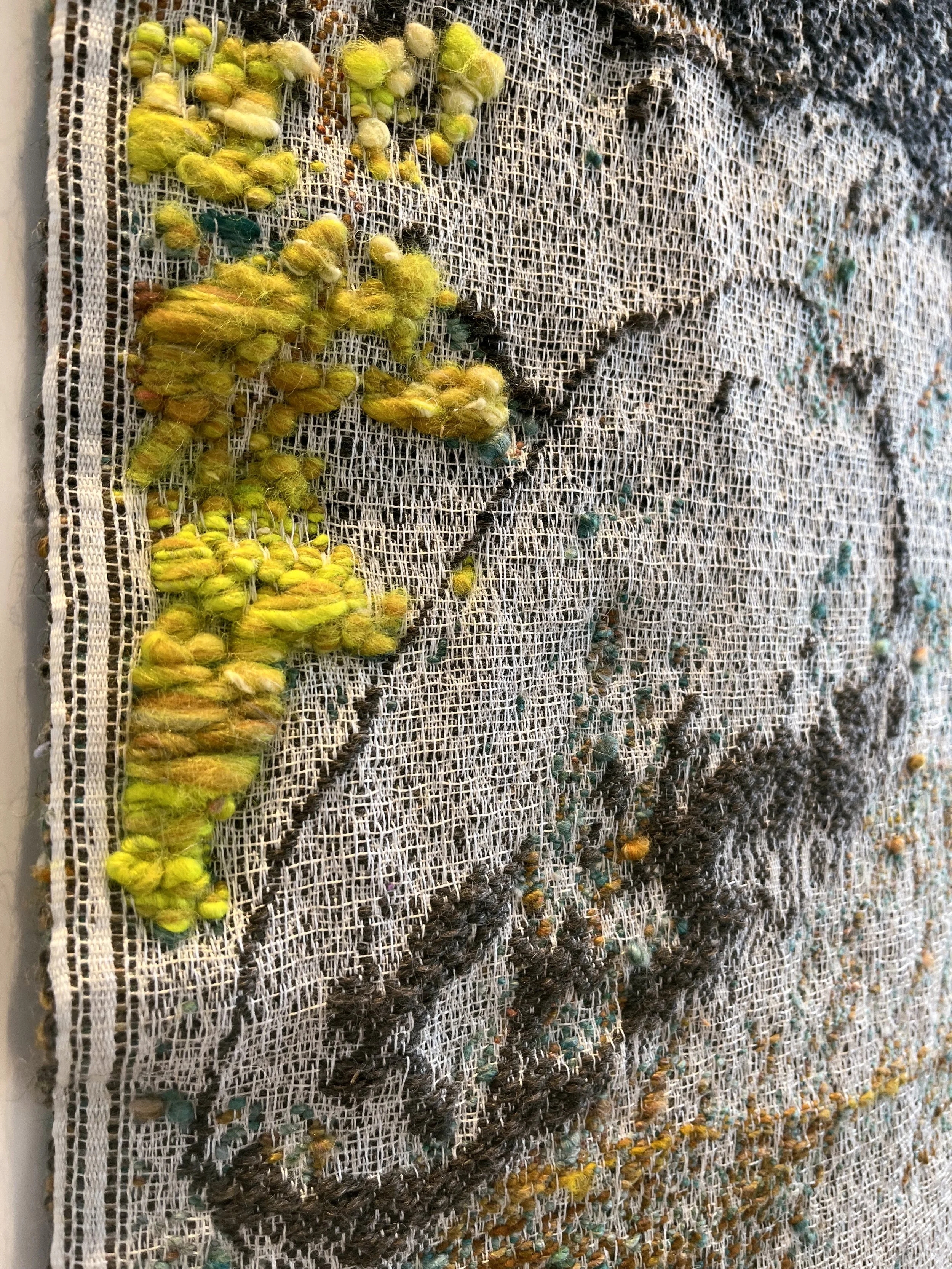 Mammal:Seed CU yellow edge.jpg