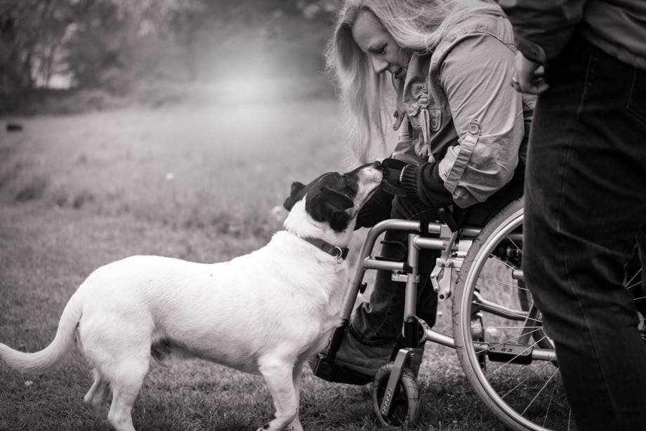 A woman in a wheelchair petting a dog