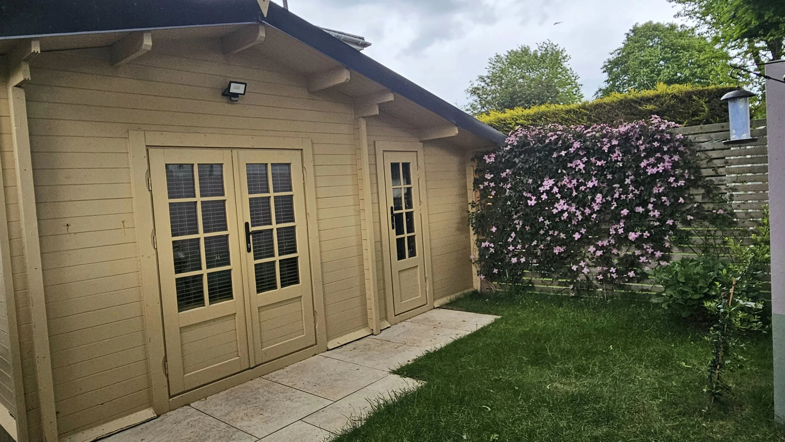 The garden in frony of Prevail Counselling Therapy Prevail