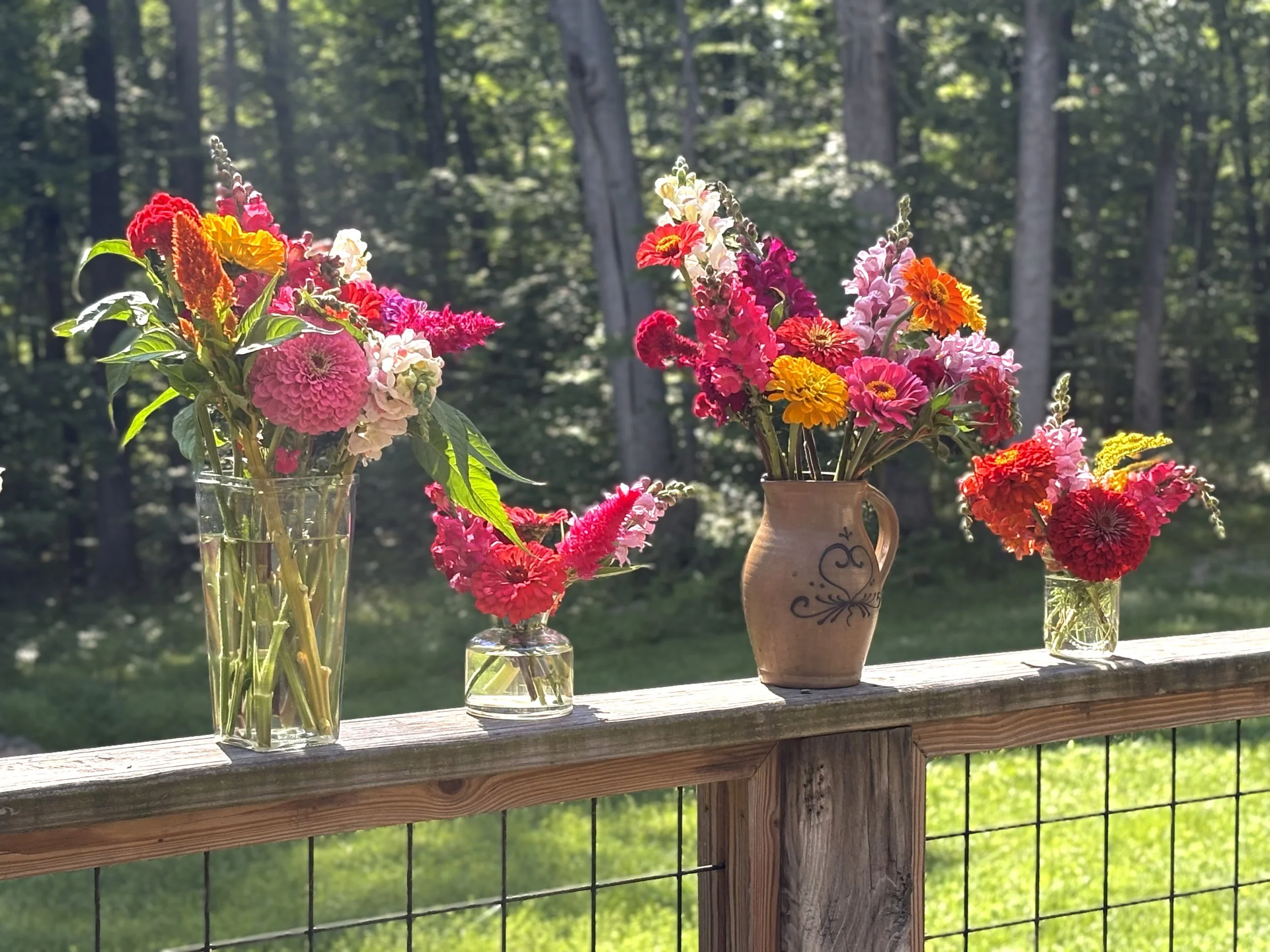 Indiana Grown Zinnia Assortments