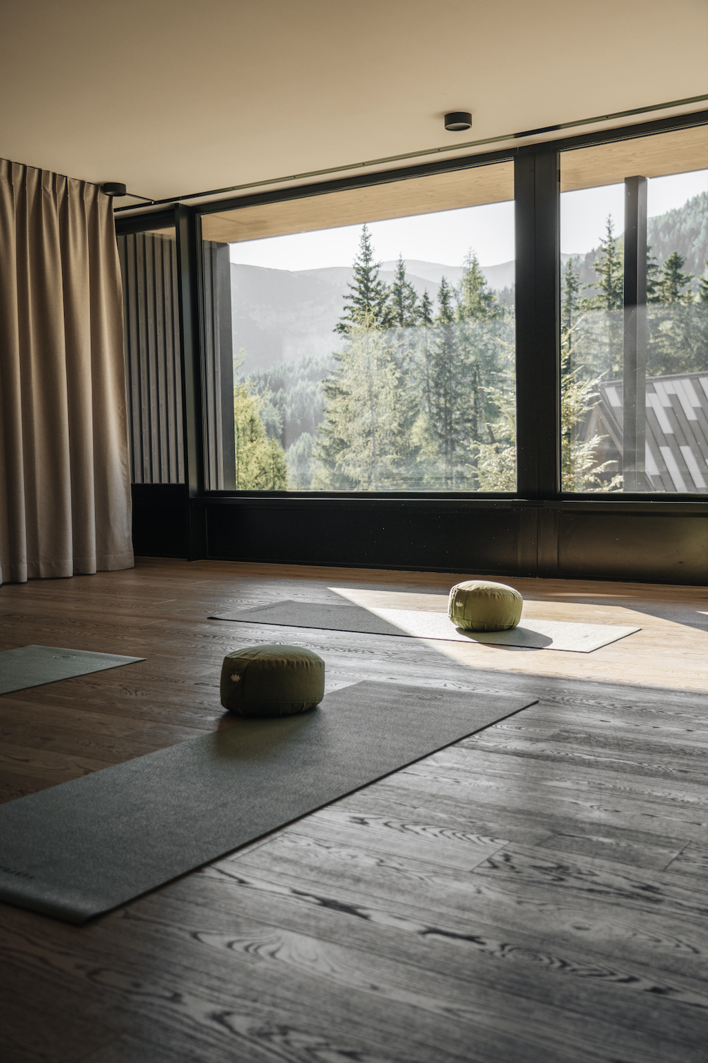 daily yoga classes