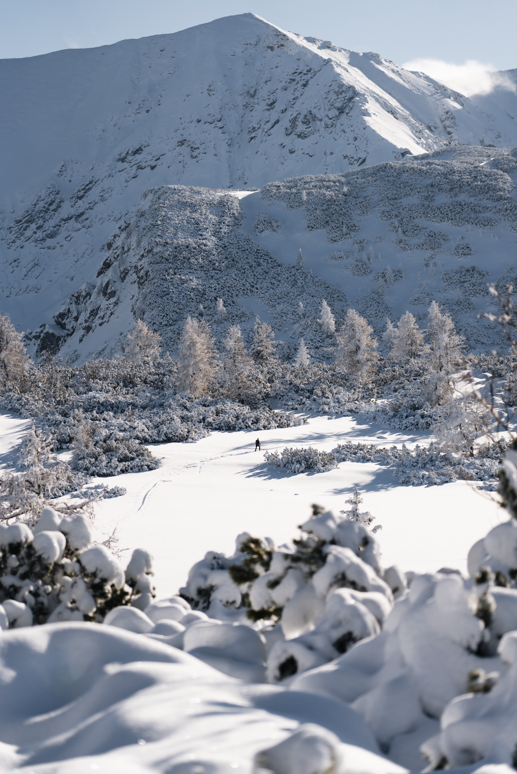 Snowshoeing