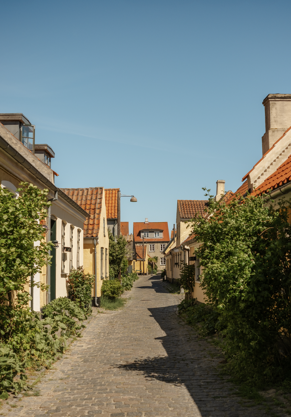 Dragør