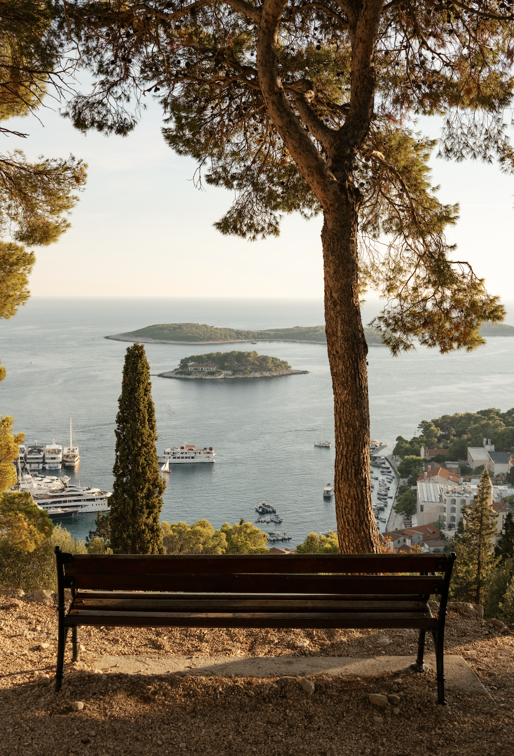 panoramic-sea-view-hvar-bench-pine-trees