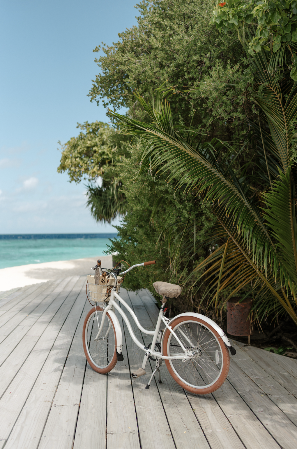 Bildschirmfoto 2026-03-12 um 21.38.22.png