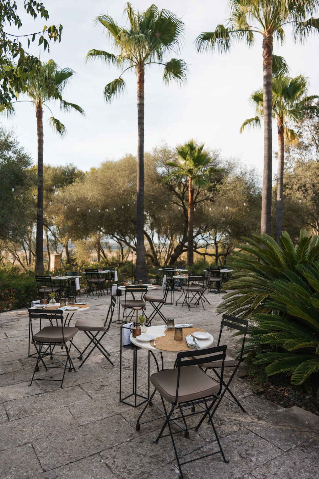 Bildschirmfoto 2025-12-27 um 13.41.14.png