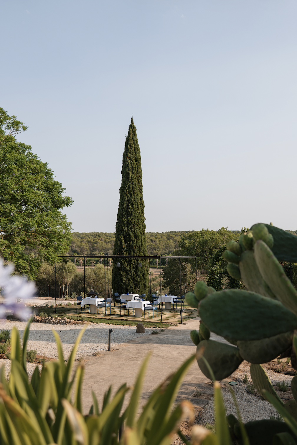 Bildschirmfoto 2025-12-27 um 13.38.55.png