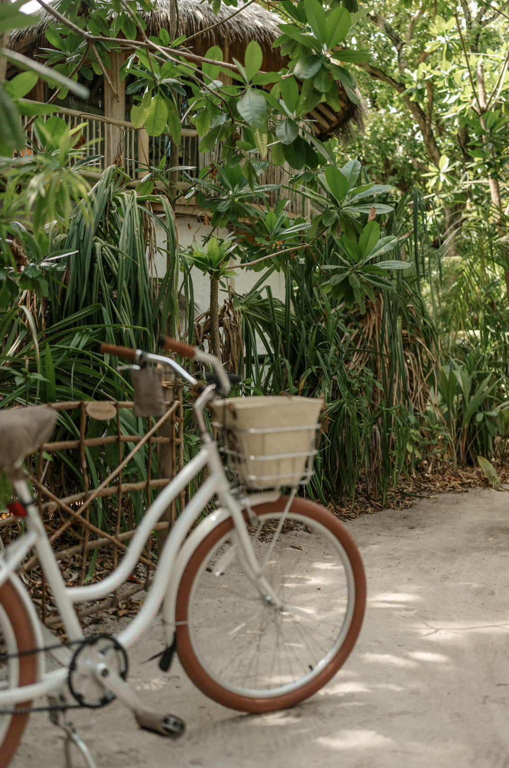 Bildschirmfoto 2026-03-12 um 21.40.17.png