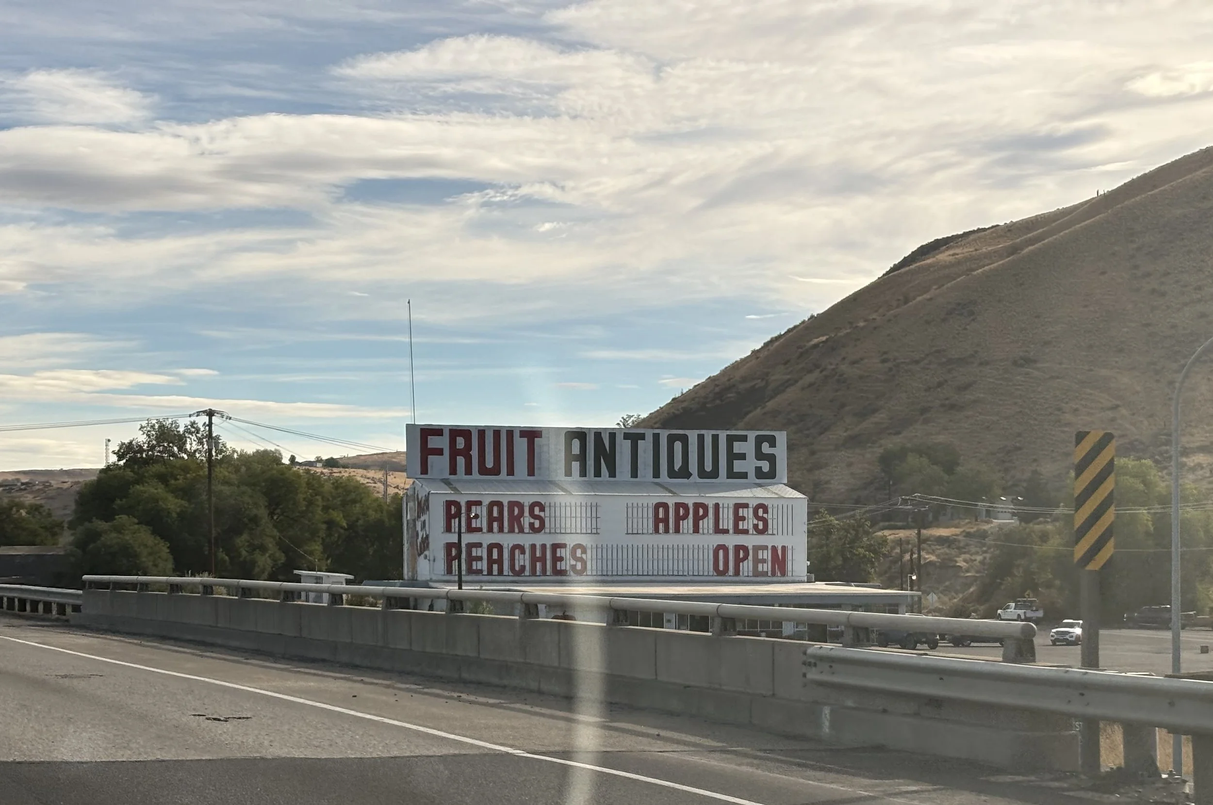 This is what happens when you wait too long to clean out your fridge