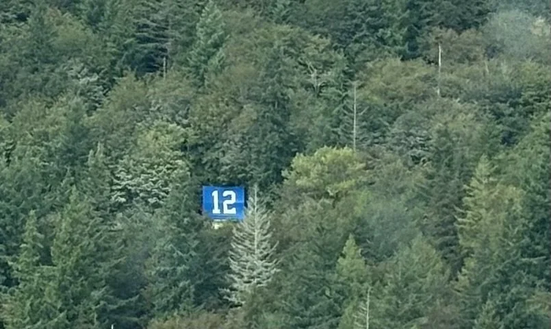 How many trees are there in Washington? Apparently at least 12