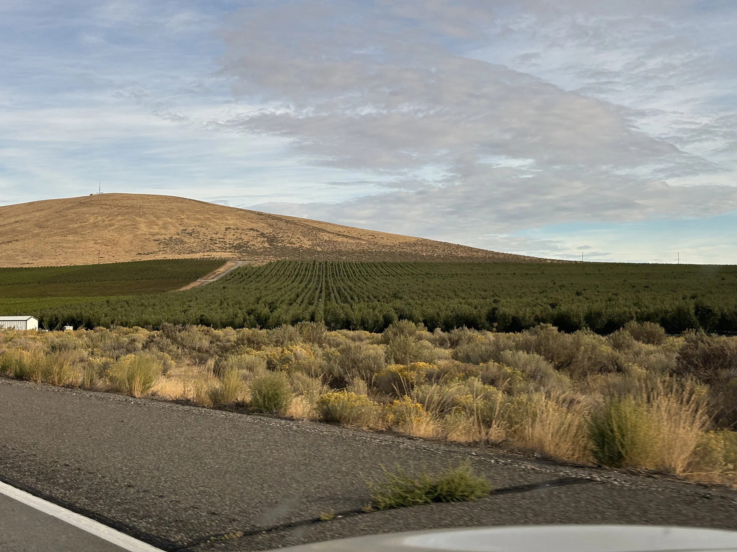 Lots of wine county in Central Washington