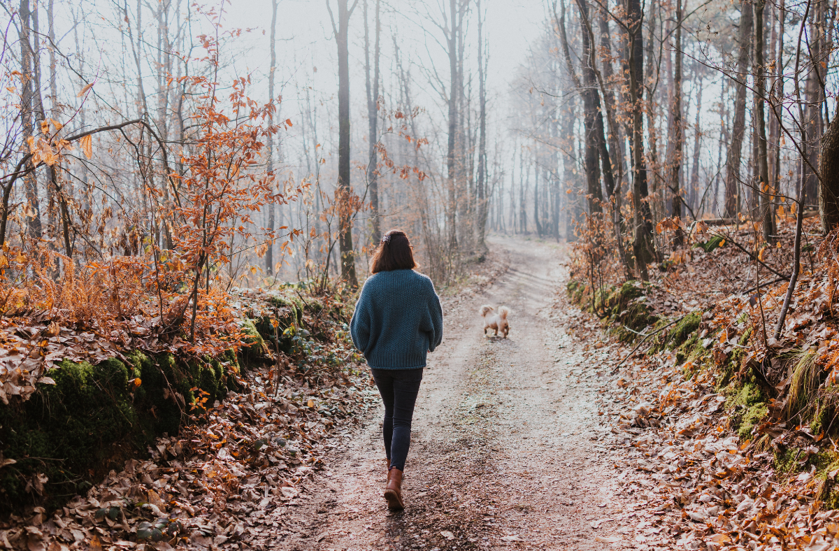 How Mindfulness Can Become Your Anchor