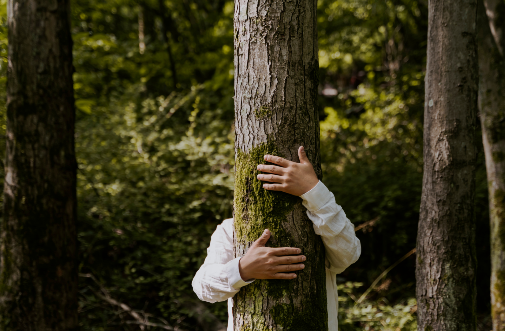 How to Recognize PTSD and Support Someone You Love