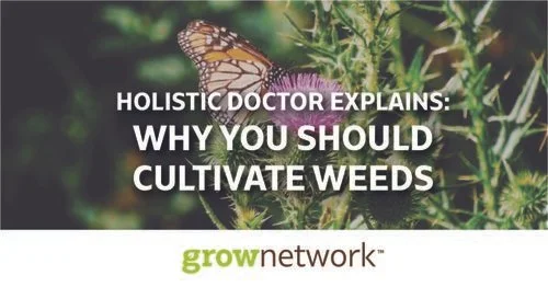 1200+x+628+LINKEDIN_+share_++Holistic+Doctor+Explains+Why+You+Should+Cultivate+Weeds.jpg
