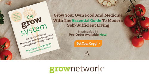 1200+x+628+LINKEDIN+SHARE_+The+Grow+System+Summit.png