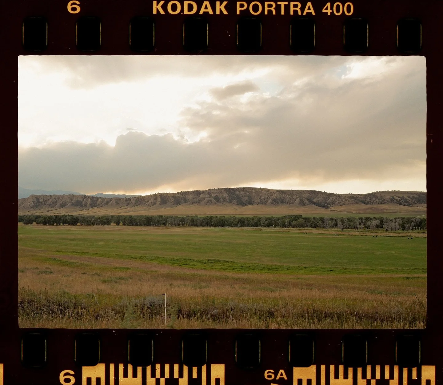 I tried something new and did a full film emulation. Film costs a lot these days and I haven&rsquo;t been shooting much of it recently. I scanned a film roll to get the high resolution border. Then I exported the border as a PNG at 300X300 res (done 