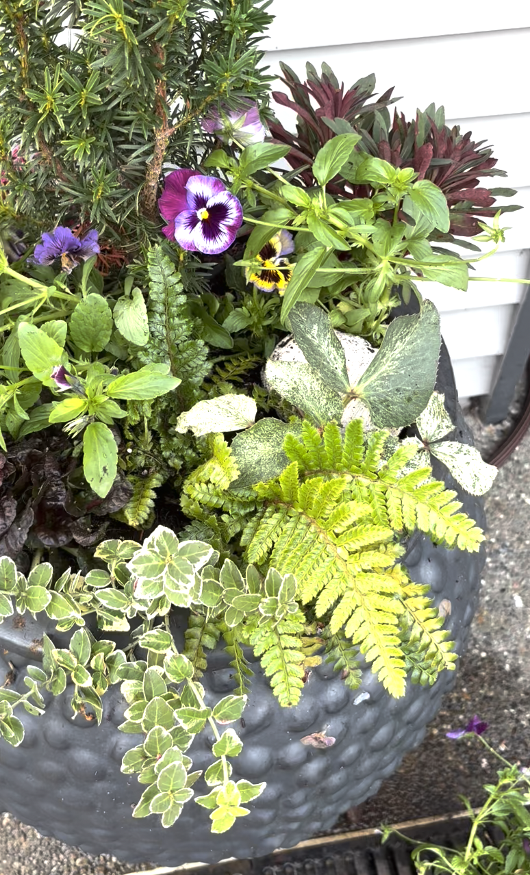 Screen Shot 2026-01-26 at 10.34.52 AM.png