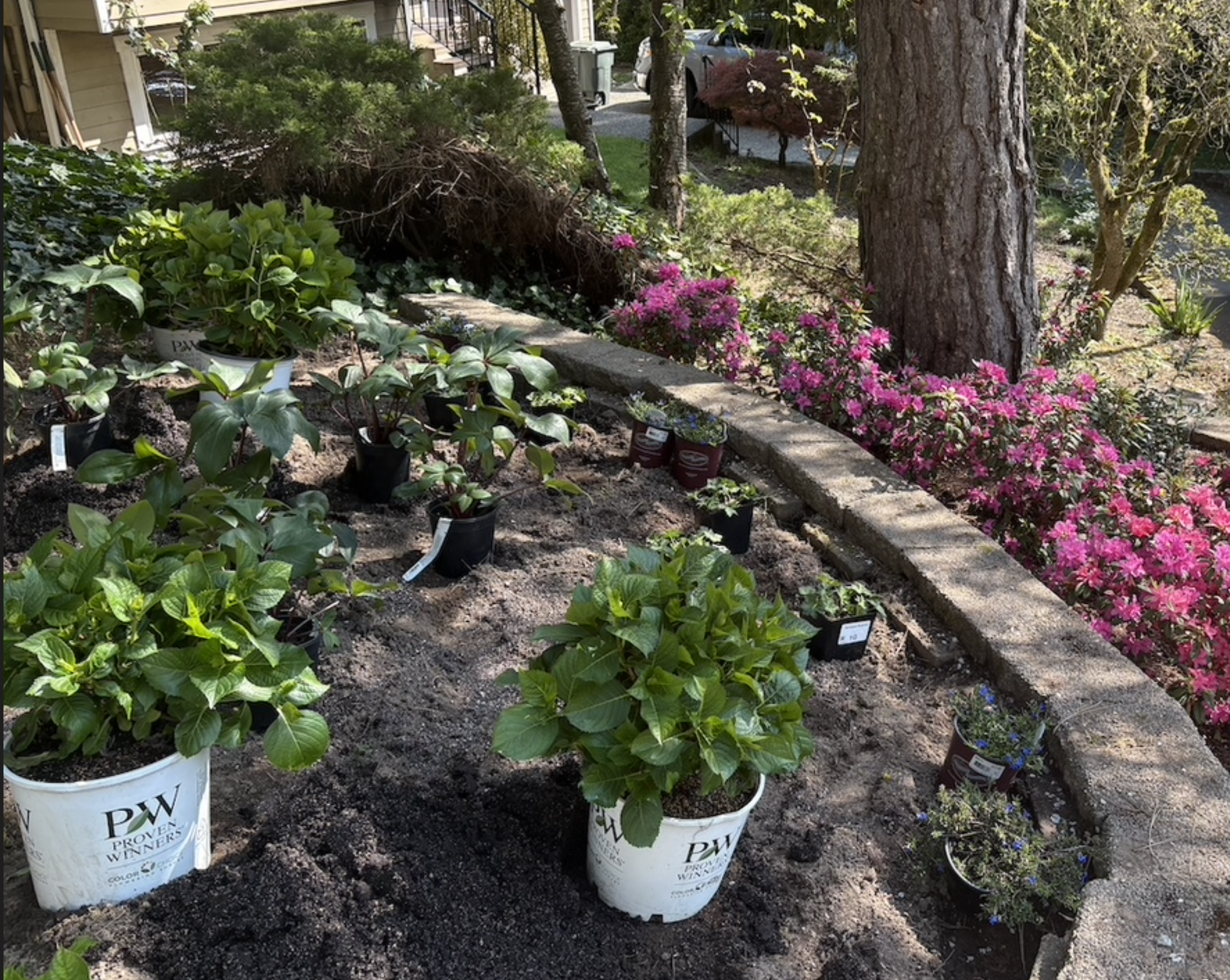 Screen Shot 2025-04-26 at 12.05.52 AM.png