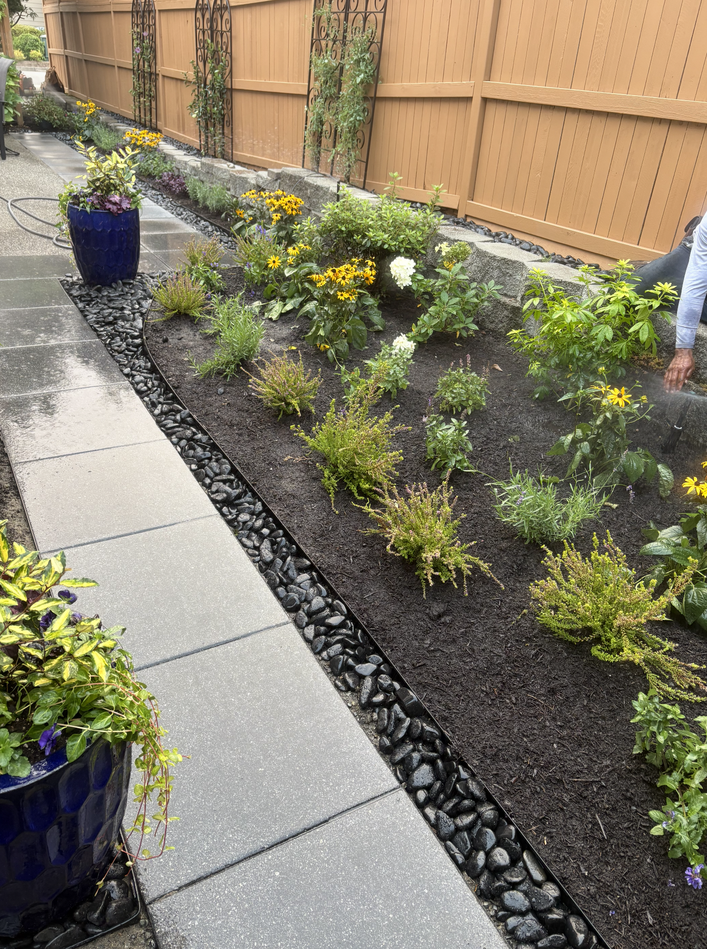 Screenshot 2026-01-26 at 12.48.49 PM.png