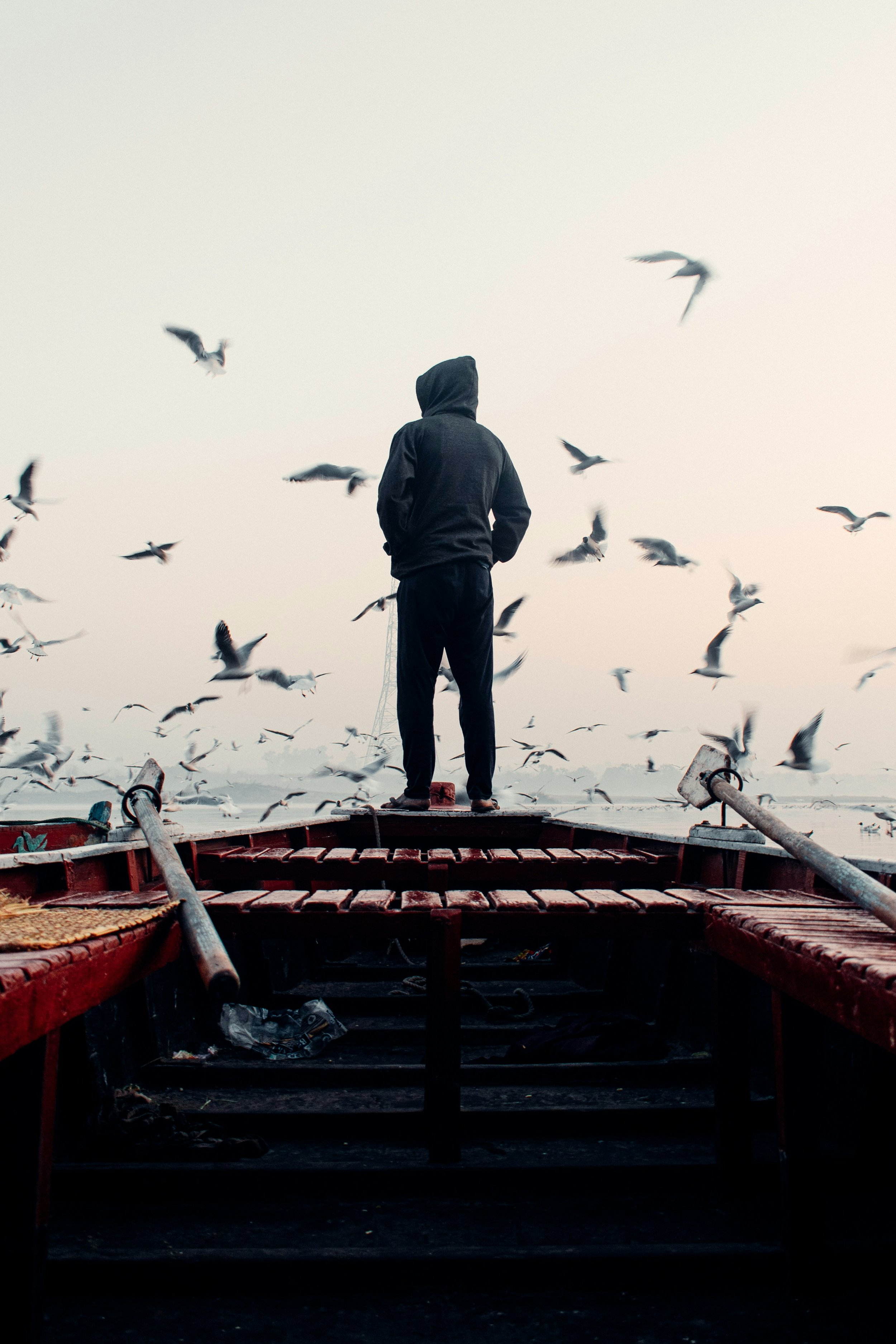 The Hero’s Journey: How Archetypes and Metaphors Help Us Prepare for Psilocybin Therapy