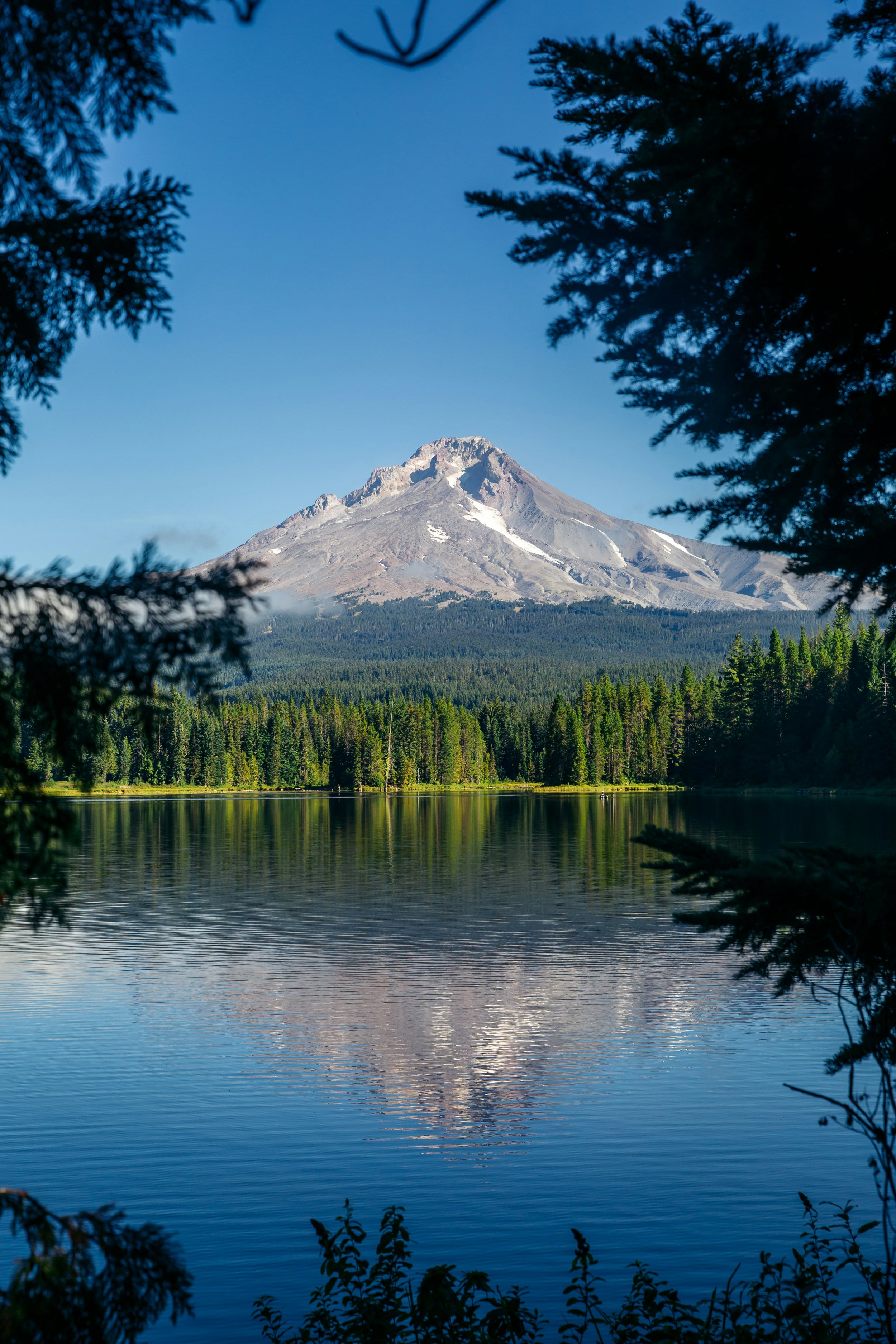 Healing Center Feature: Vital Reset in Hood River