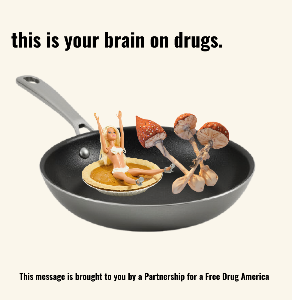 Neuroplastic Fantastic: What happens to your brain after a psilocybin journey?