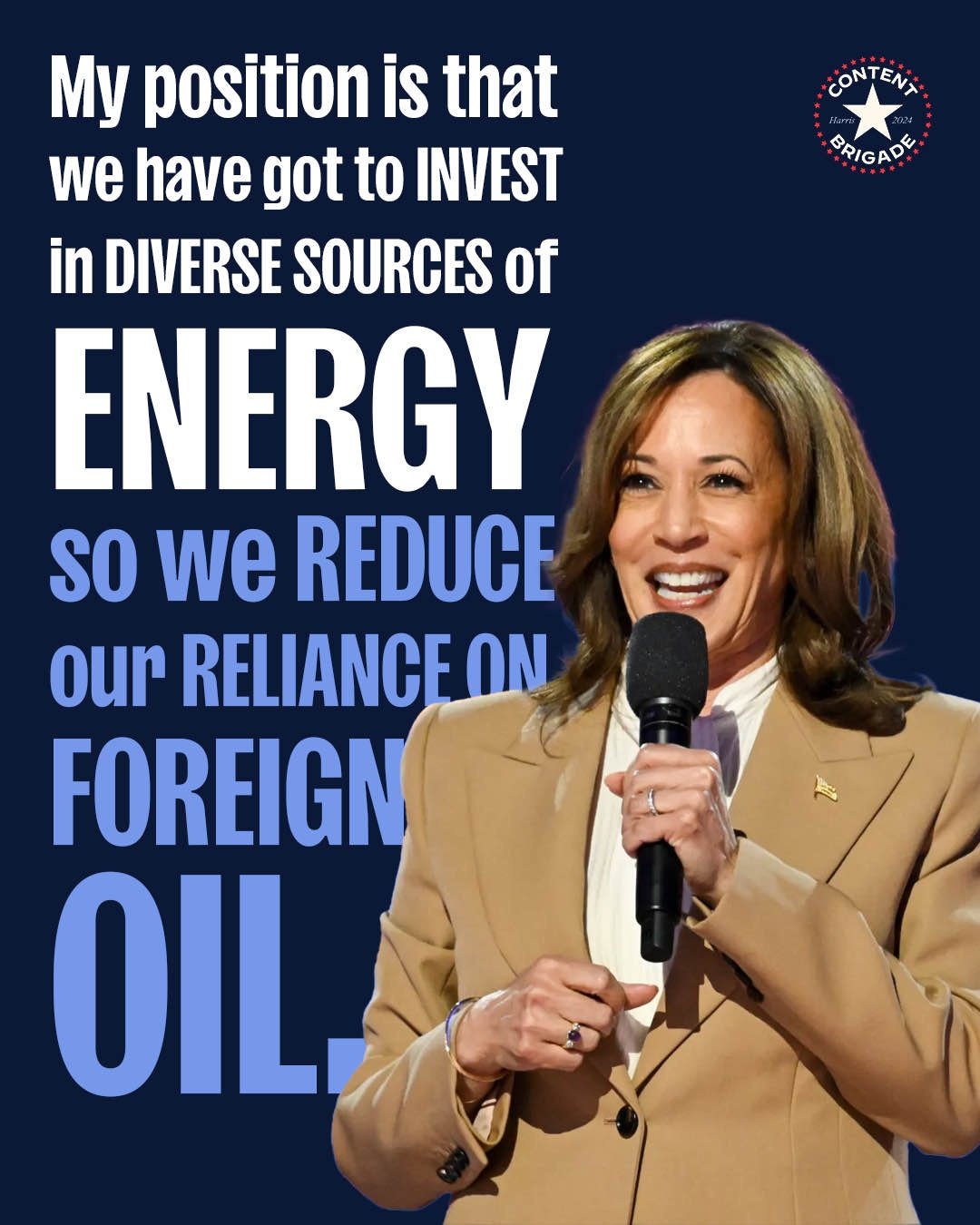 The Democrats - 20240914_VCC_EnergySources_Image_1_VCC.jpeg