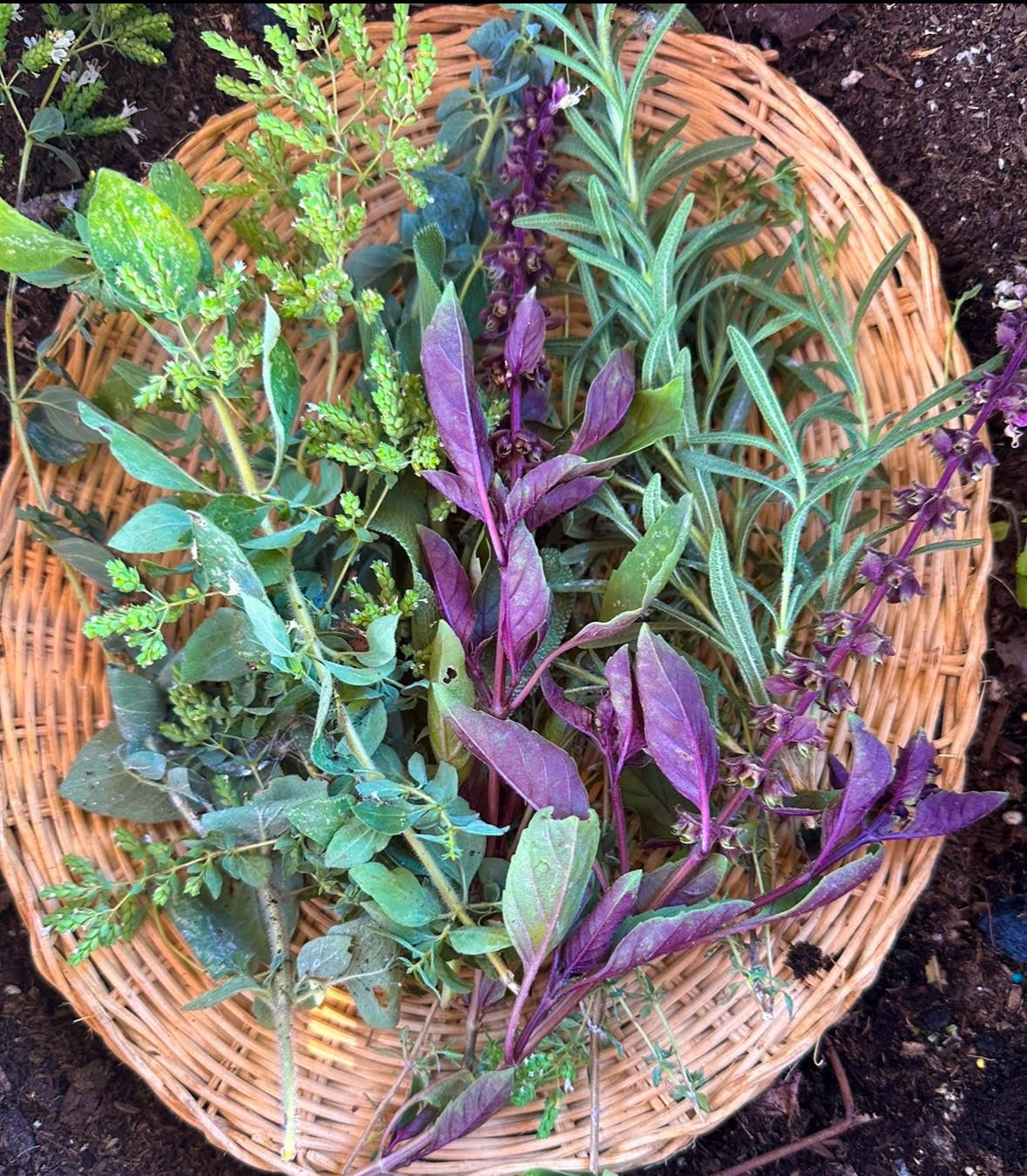 Herbs In Basket.jpg