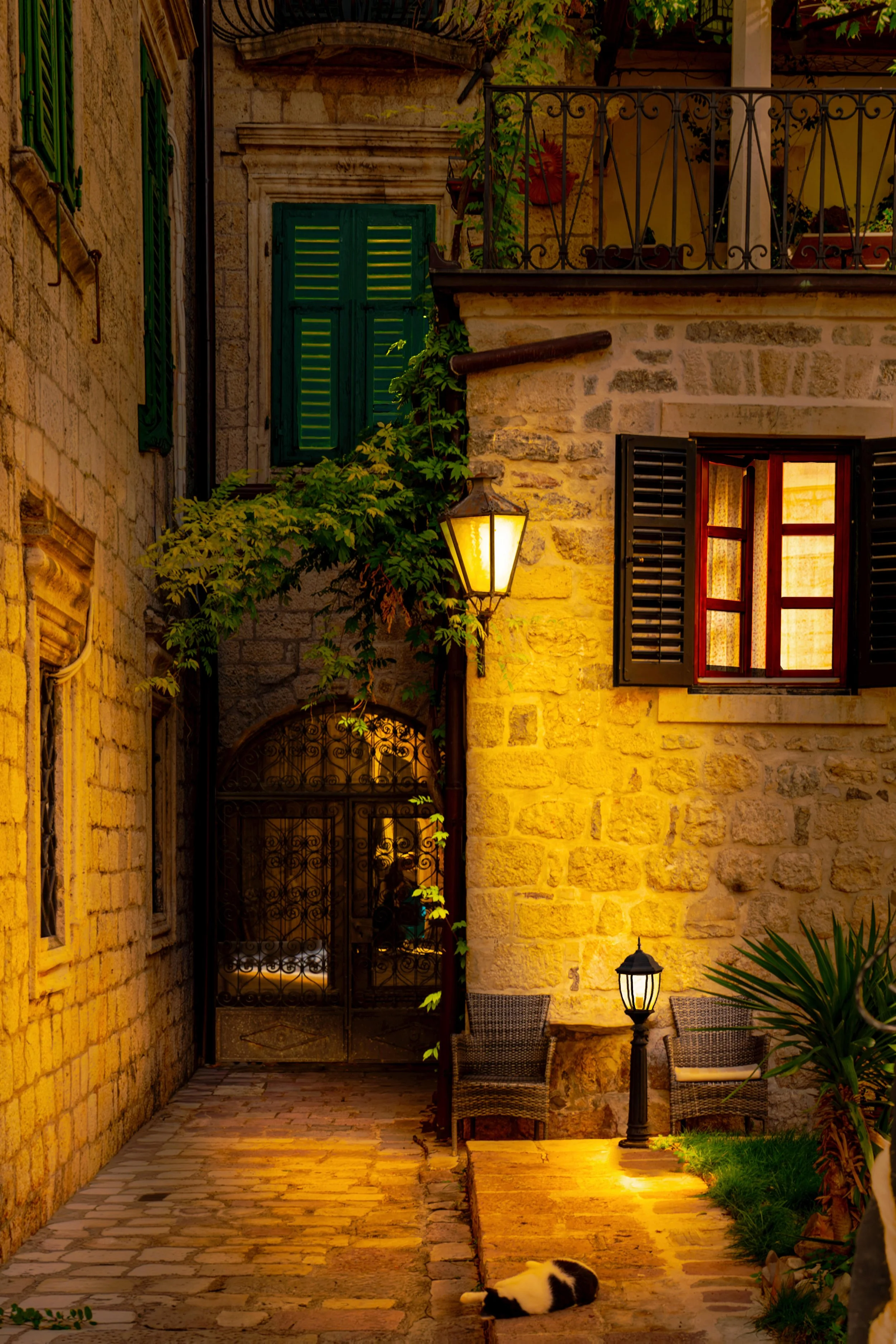 _DSC7369_DxO-2_DxO_DxO_DxO.jpg