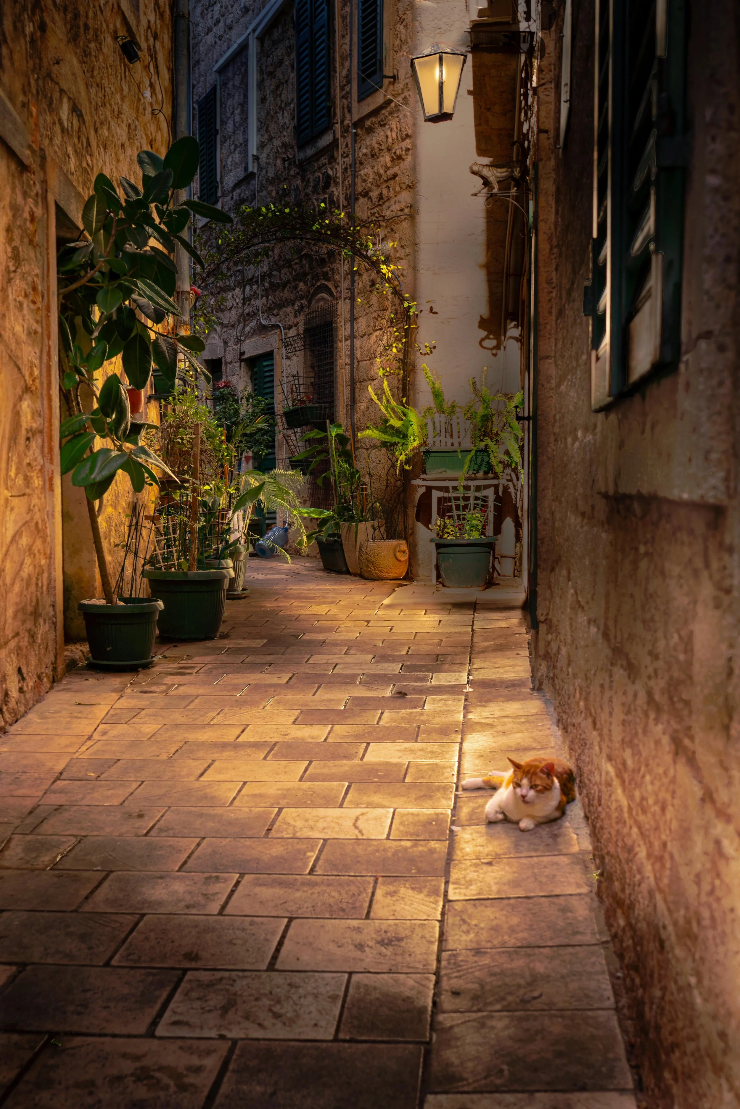 _DSC7333_DxO_DxO_DxO-1.jpg
