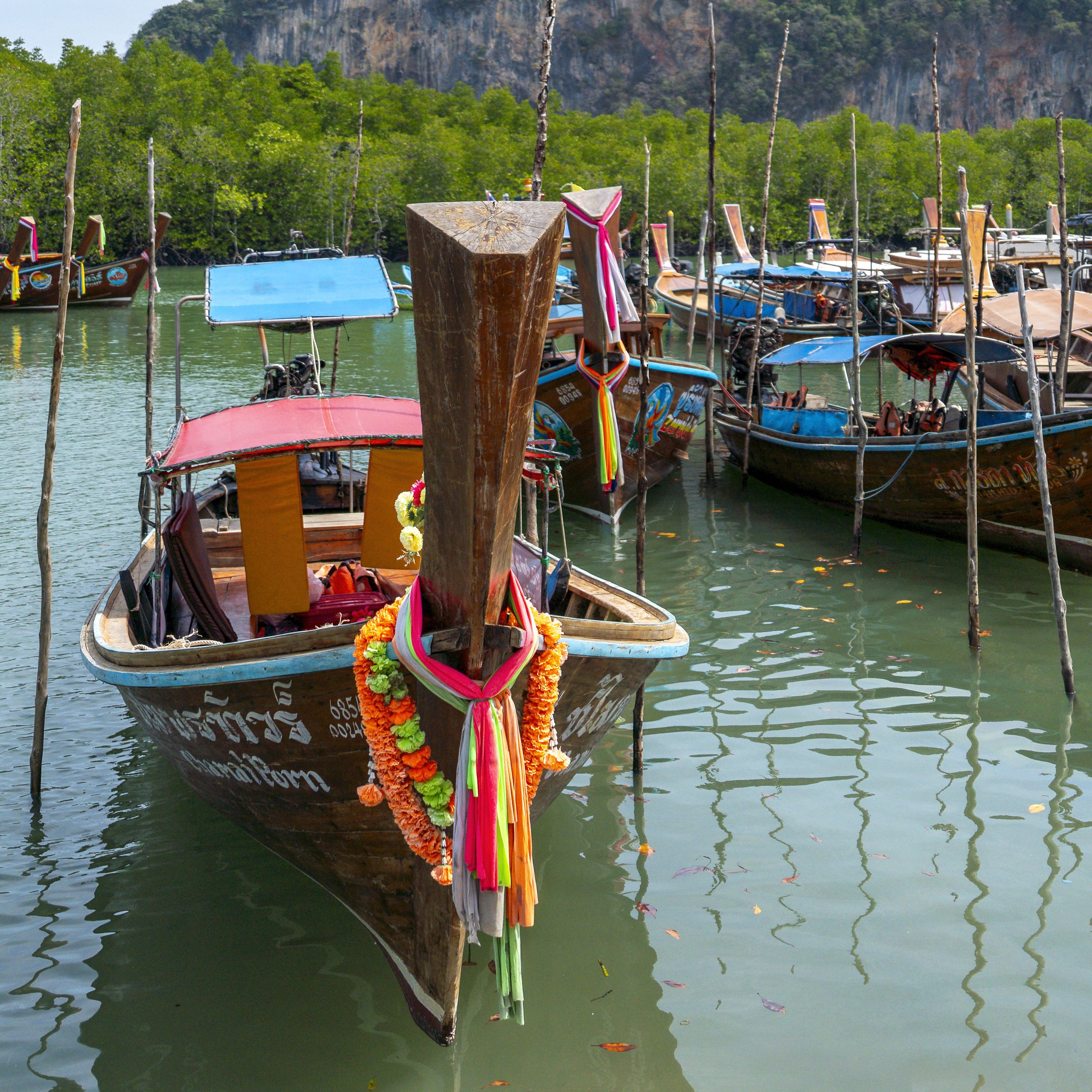 _DSC6080_DxO-2_DxO.jpg