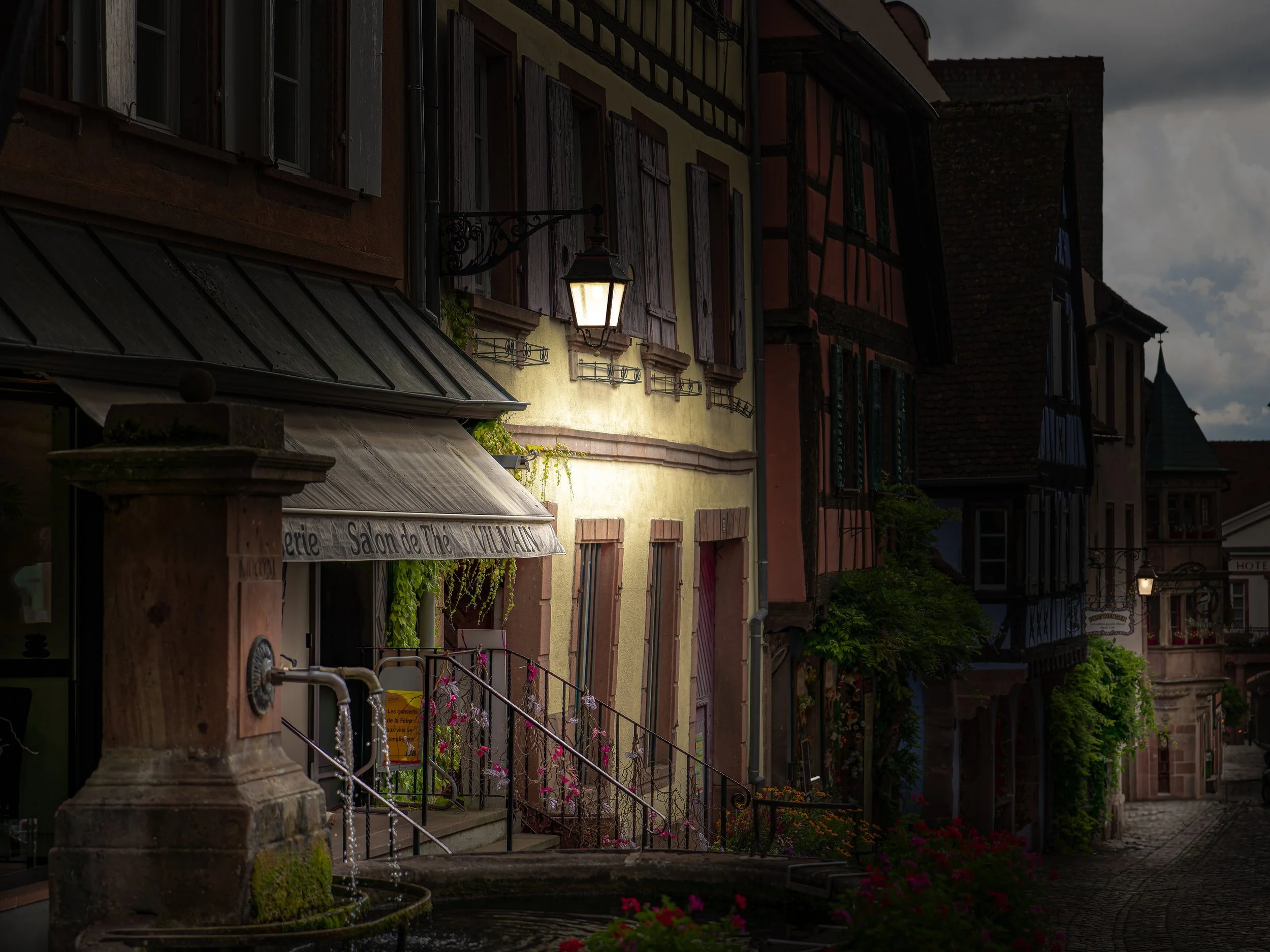 _DSC3690_DxO.jpg
