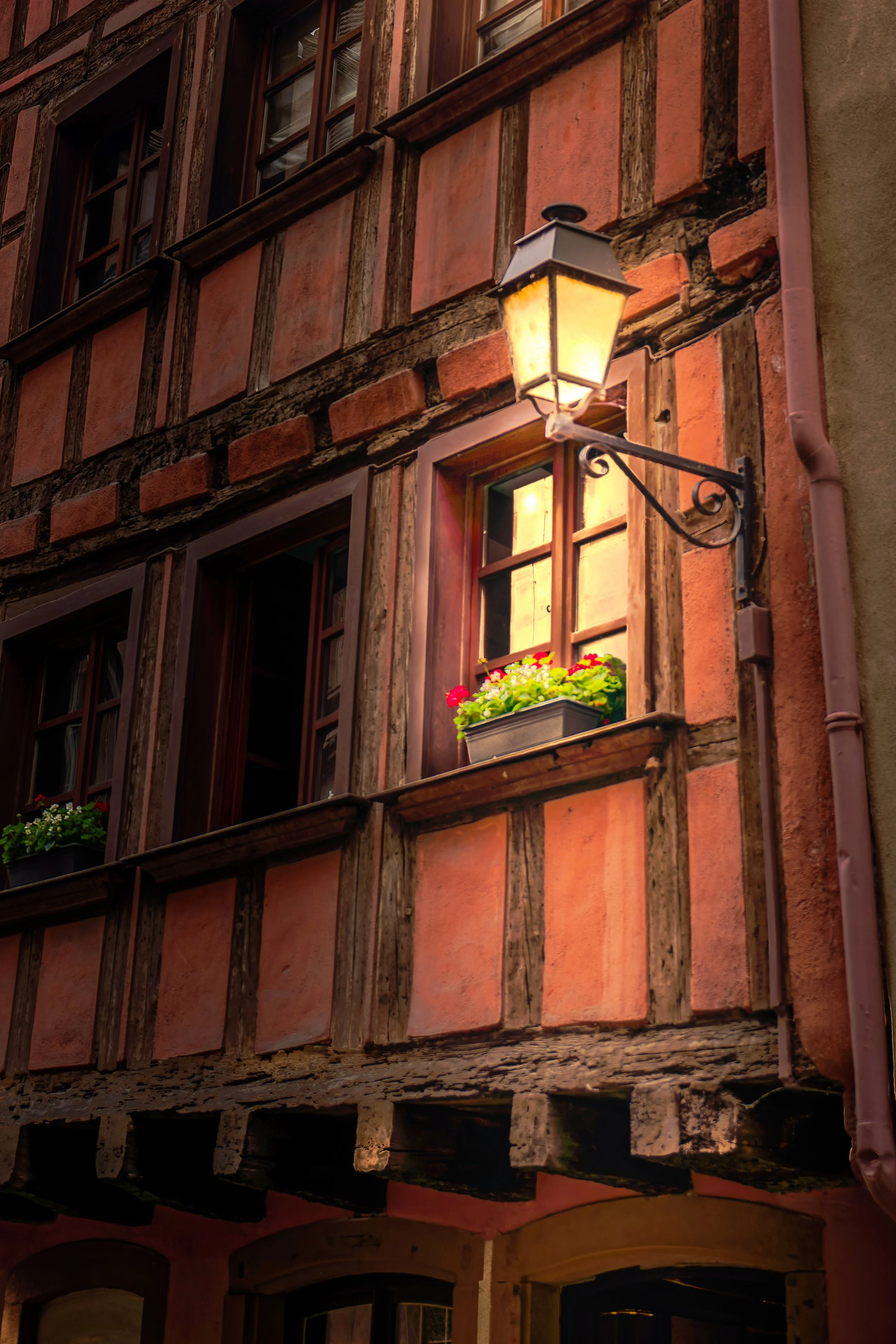 _DSC3418_DxO-2_DxO.jpg