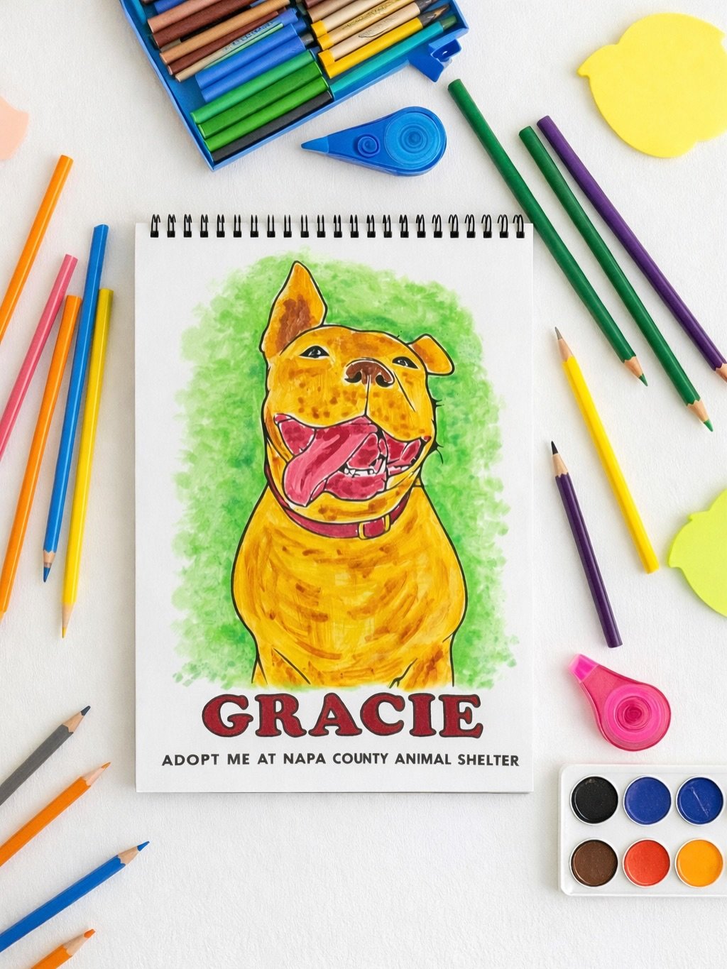 The coloring book made its way to Poland. 🇵🇱✨

I worked on a coloring book for @napacountyanimalshelter, and I recently sent two pages to my aunt in Warsaw&mdash;who is also an artist. She sent photos back of how she colored them.

There&rsquo;s so