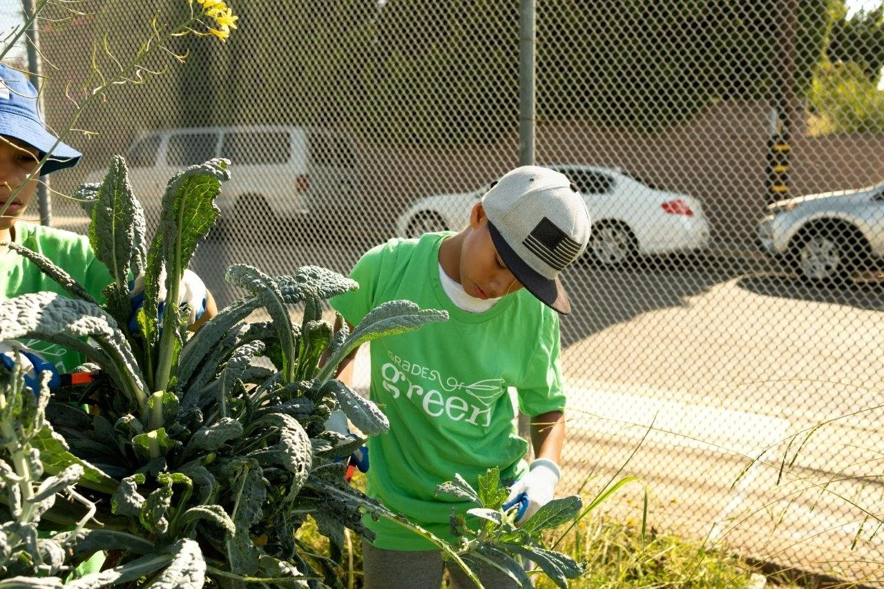 2024-2025-LA-Kings-Ramona-Planting-Event-Photos-Edited-Photo-37.jpg
