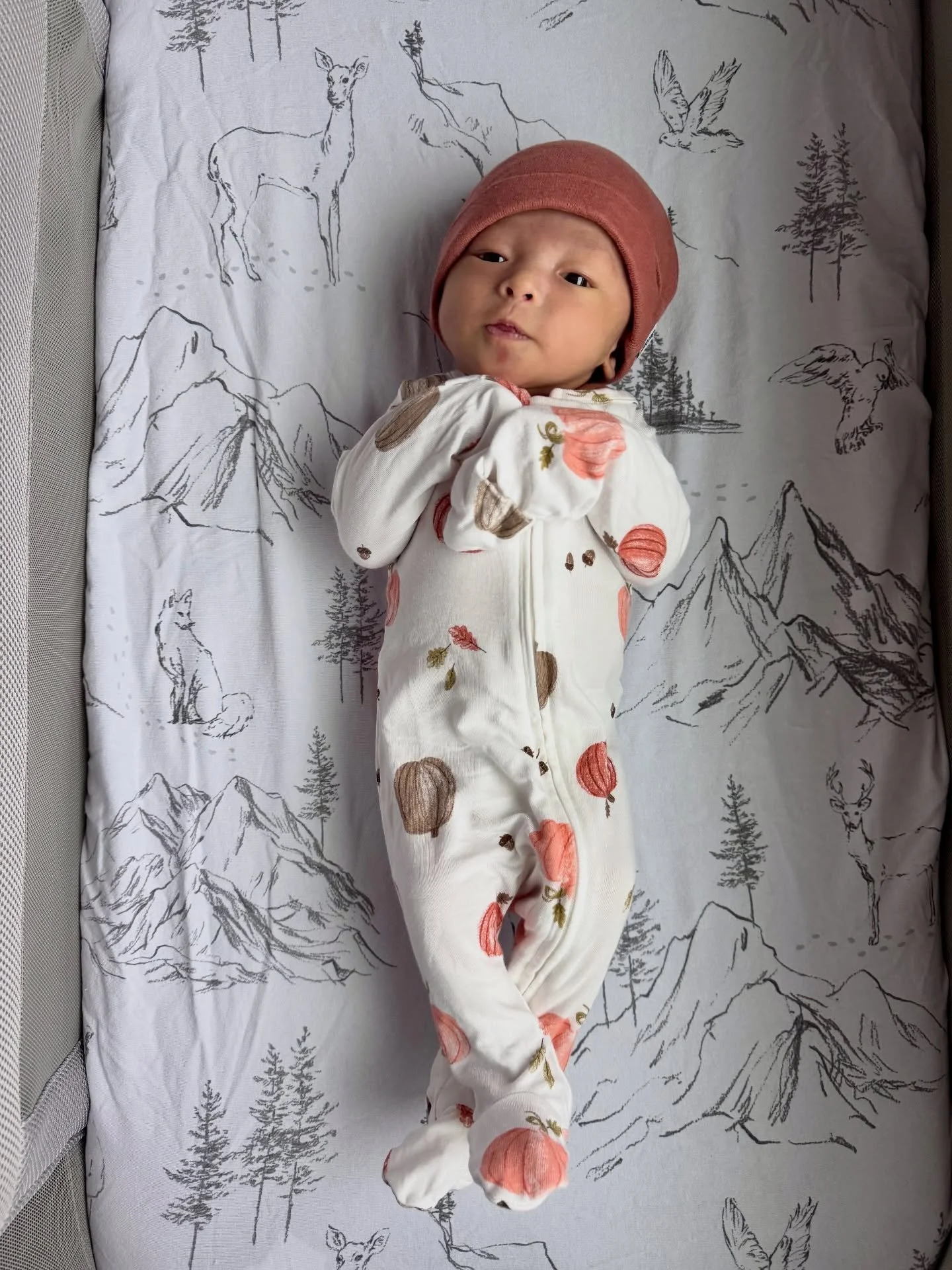 We love you so much, Austin ❤️ Happy First Halloween, our little pumpkin 🎃