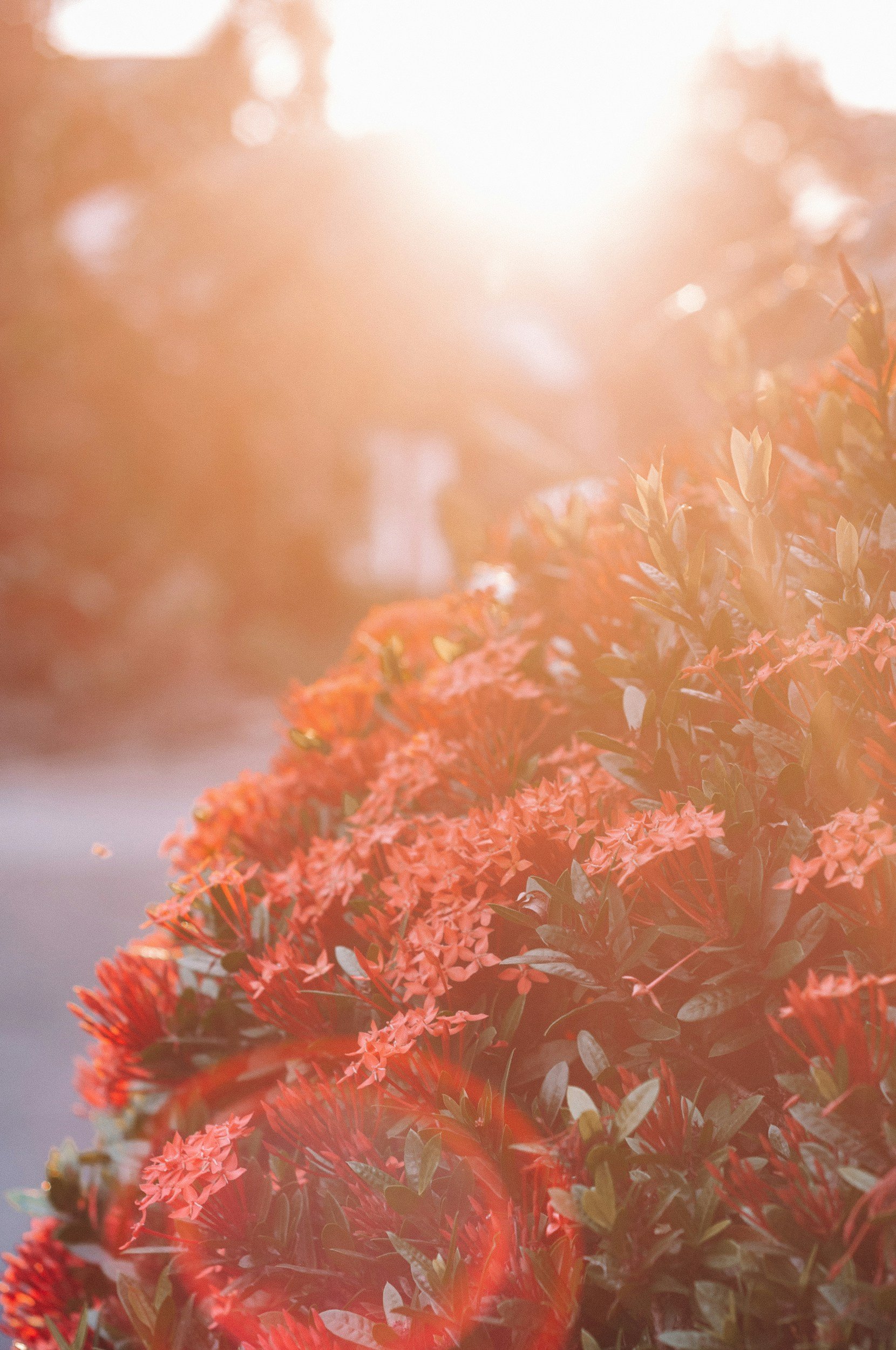 unsplash-image-DJOjg5xVJ-I.jpg