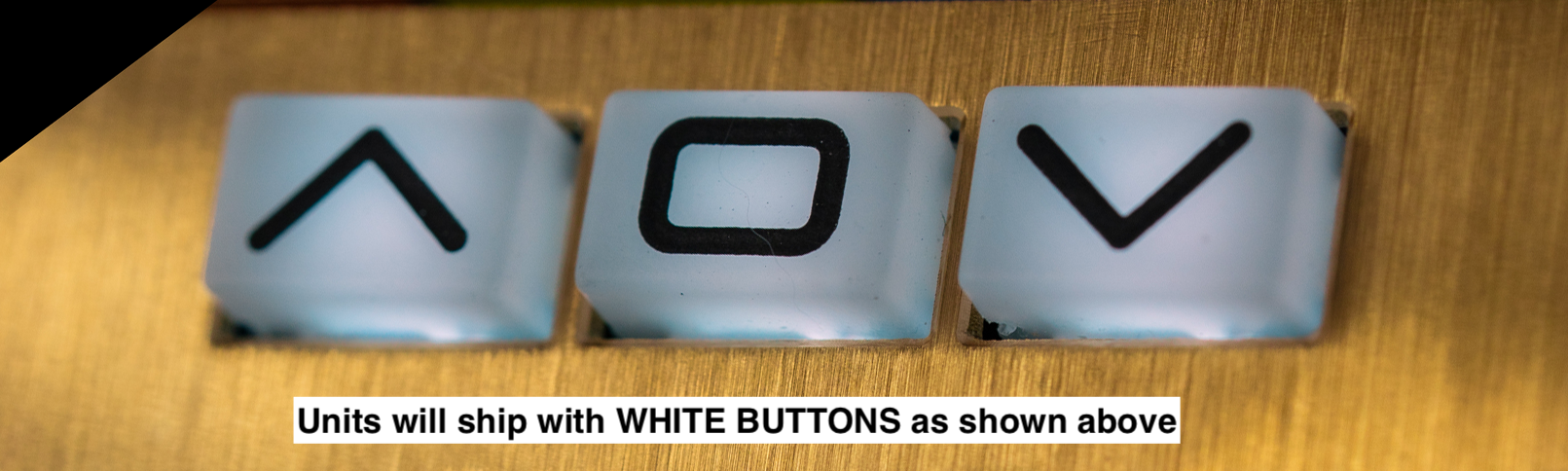 White Buttons.png