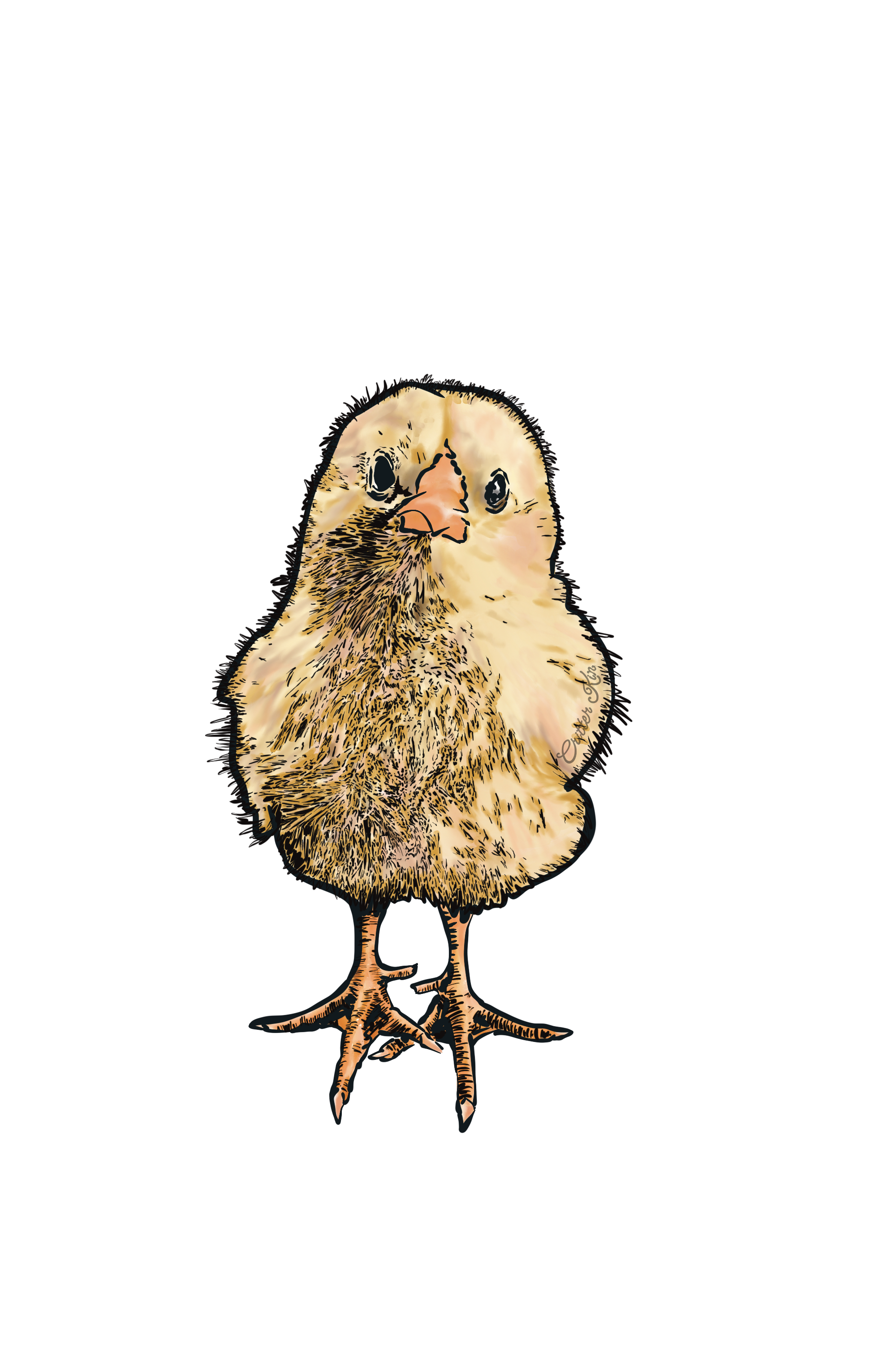 "Chick", 2025