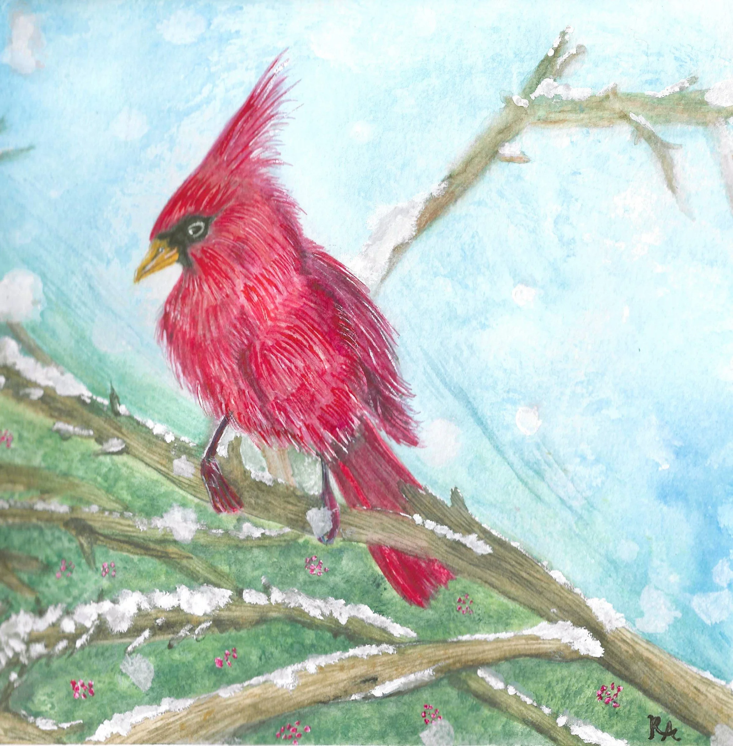 Winter Cardinal