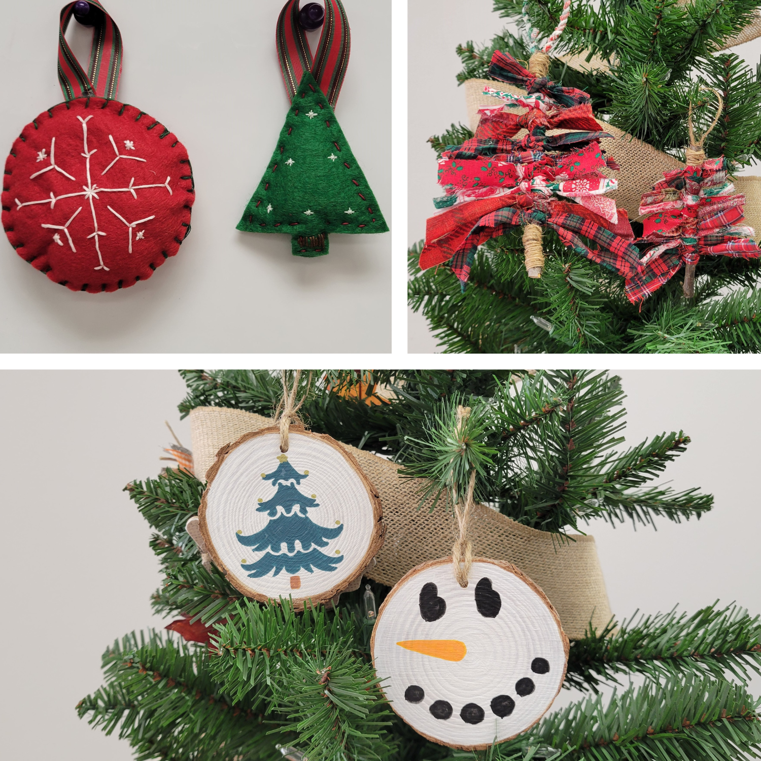 Variety Ornament Class