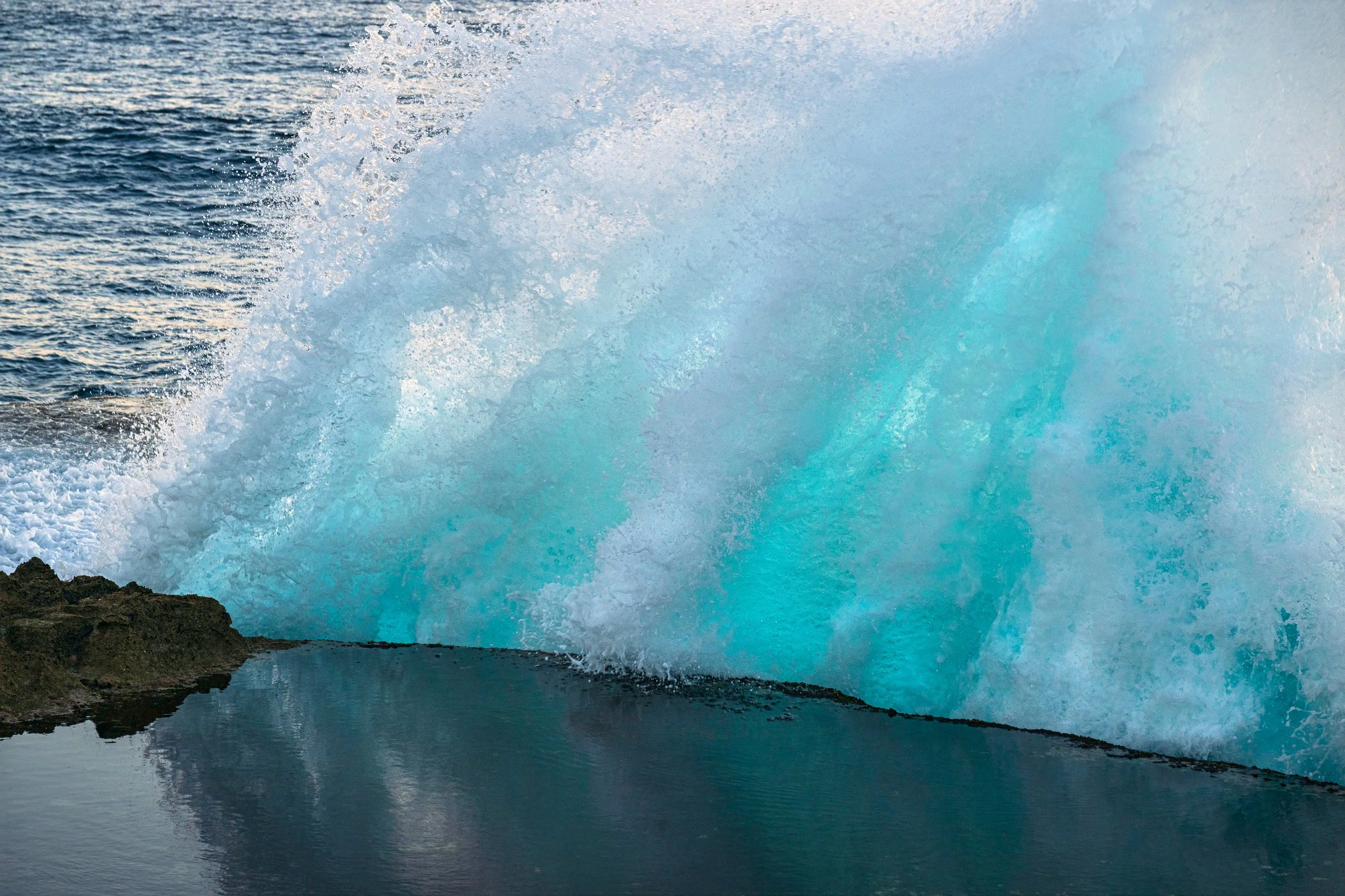 20250425-DSC_1171-Edit.jpg