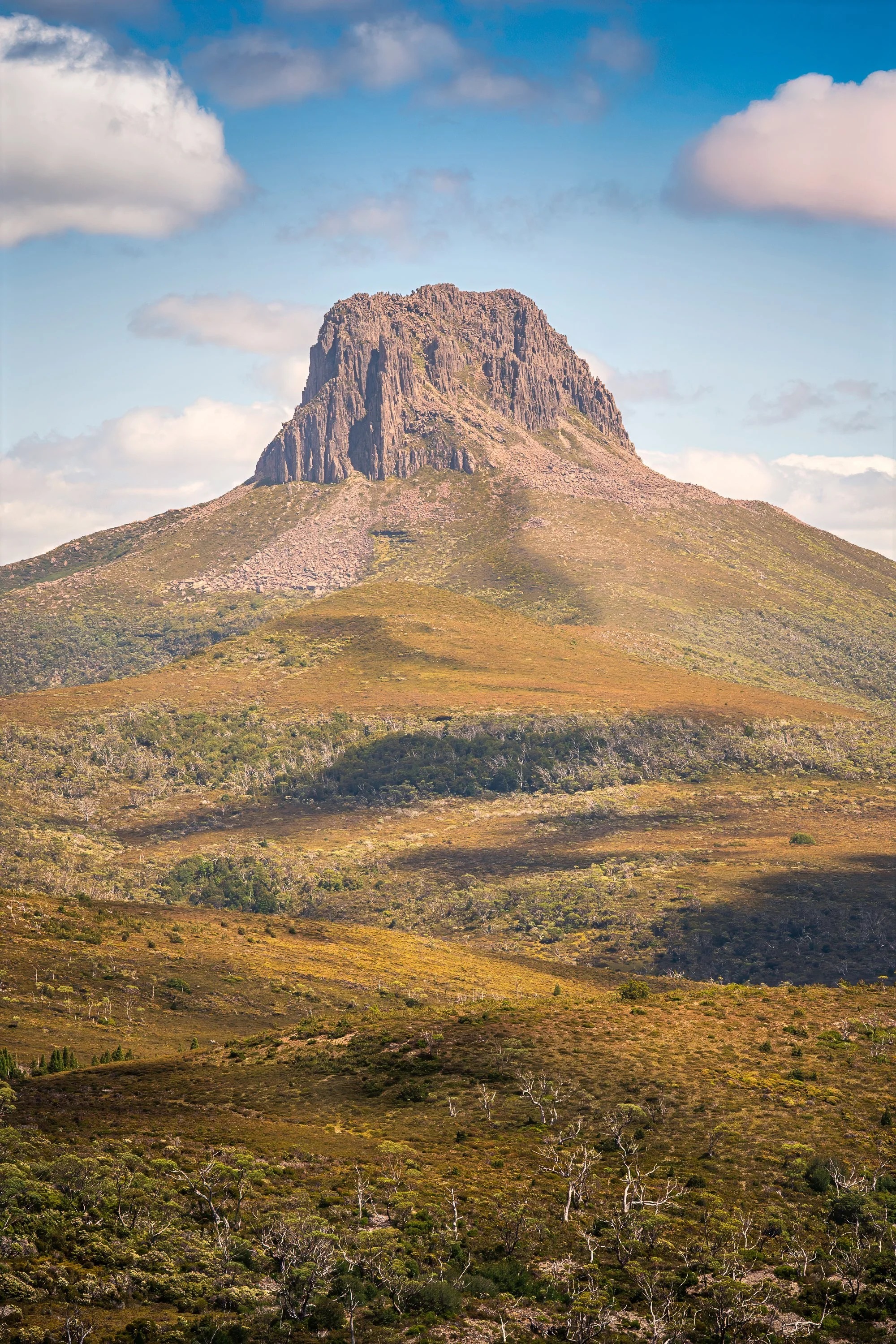 20230130-DSC_8921-Edit.jpg